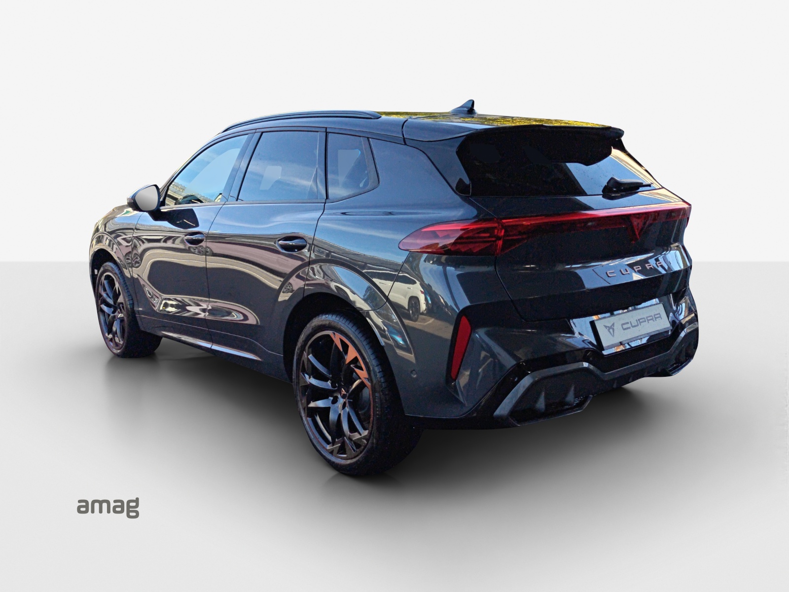 CUPRA Terramar 2.0 TSI DSG 4Drive-showroom-element-2