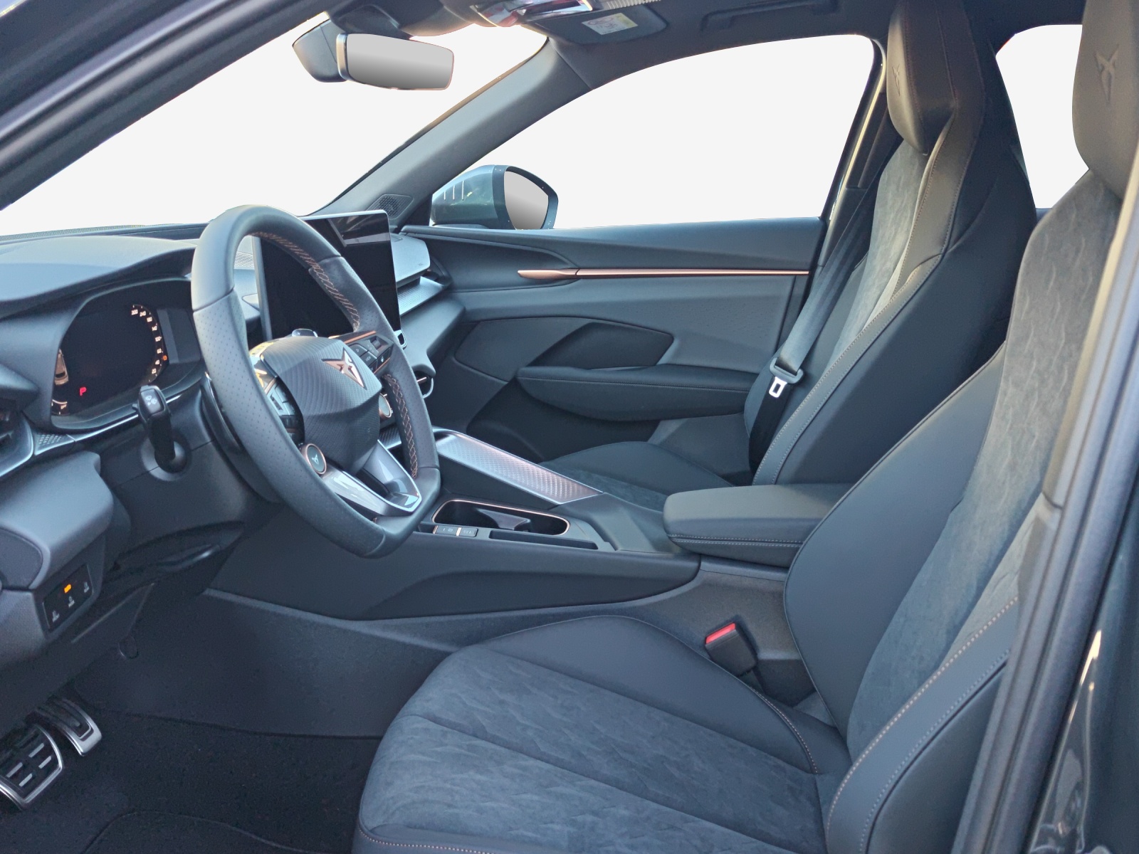 CUPRA Terramar 2.0 TSI DSG 4Drive-image-7