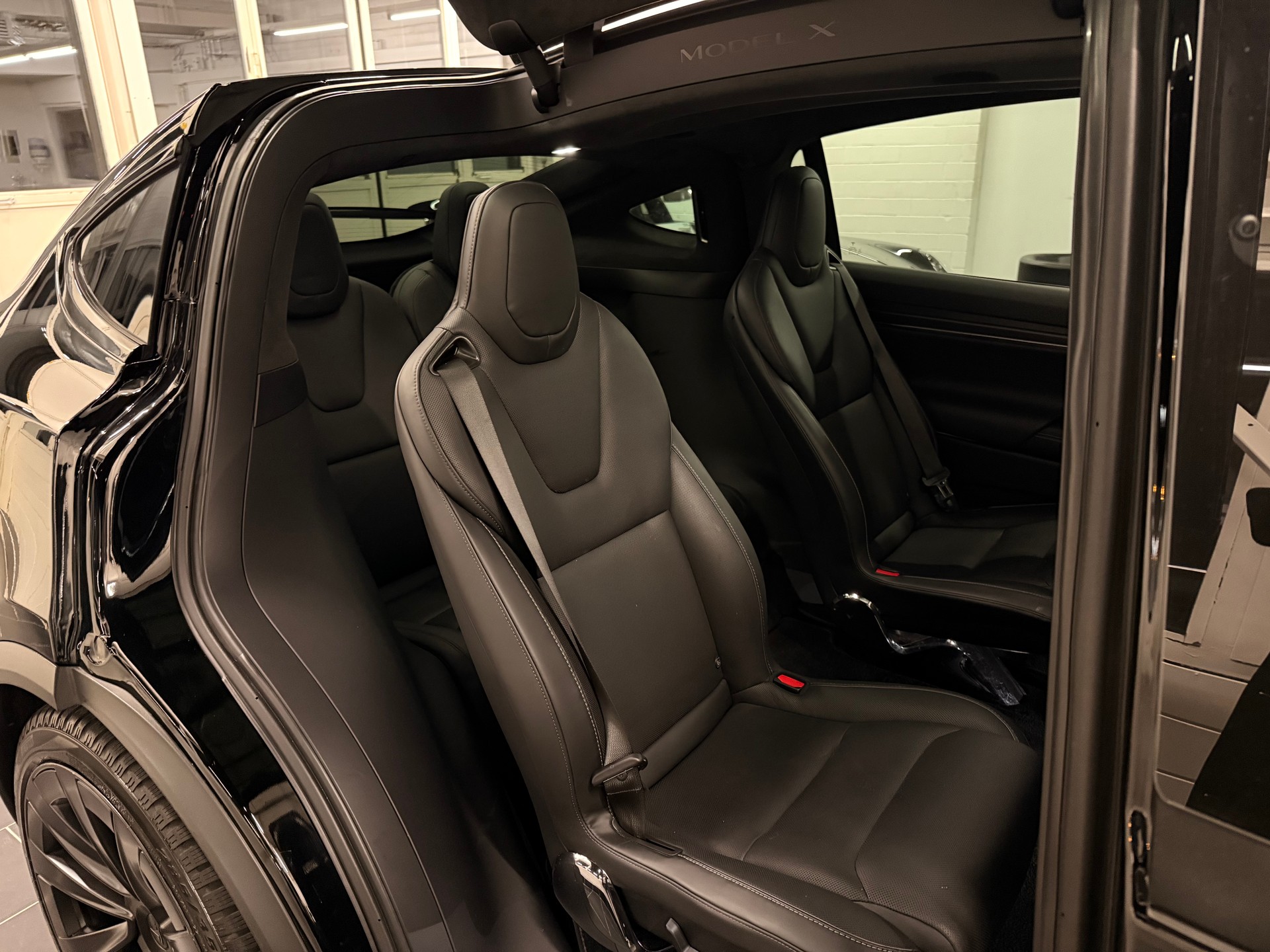 TESLA Model X 100kWh Plaid-image-8