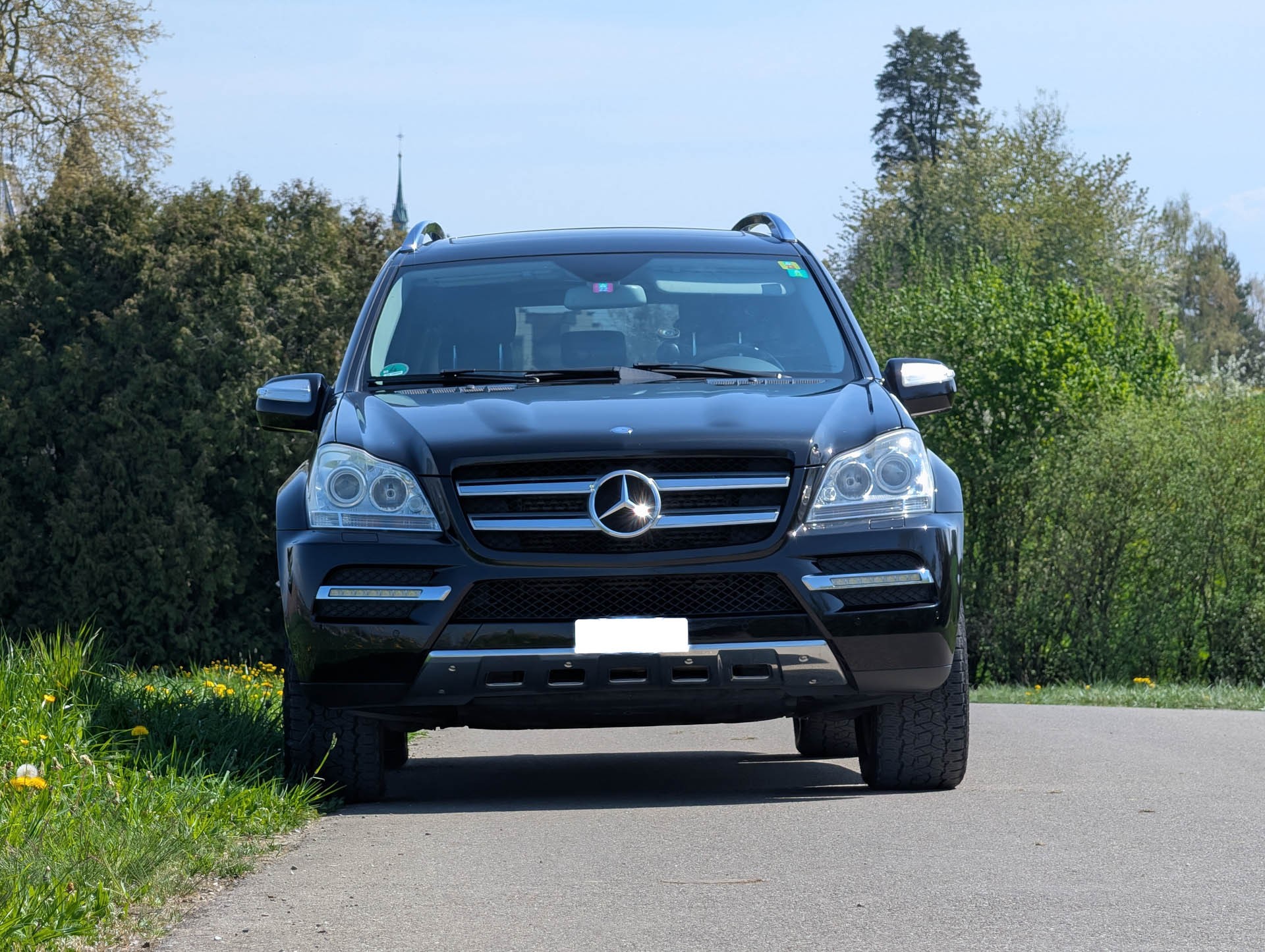 MERCEDES-BENZ GL 350 V6 CDI BlueTec-image-6