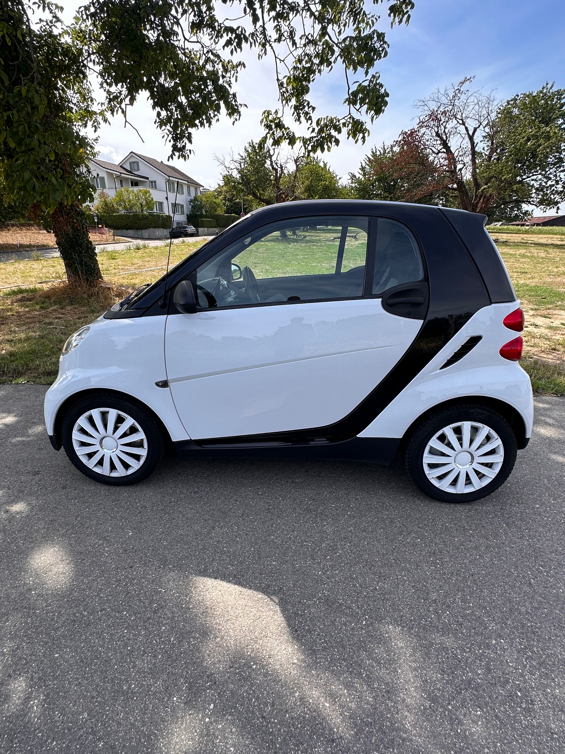 SMART 1000 61 Pure mhd