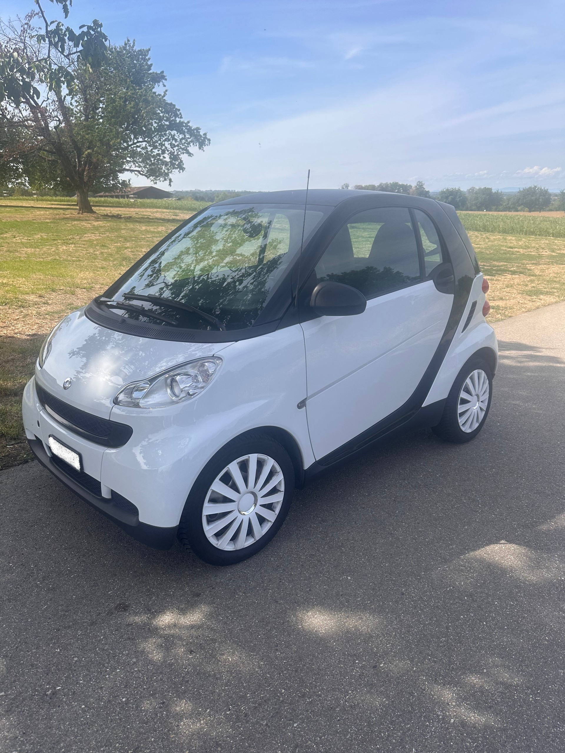 SMART 1000 61 Pure mhd-image-2