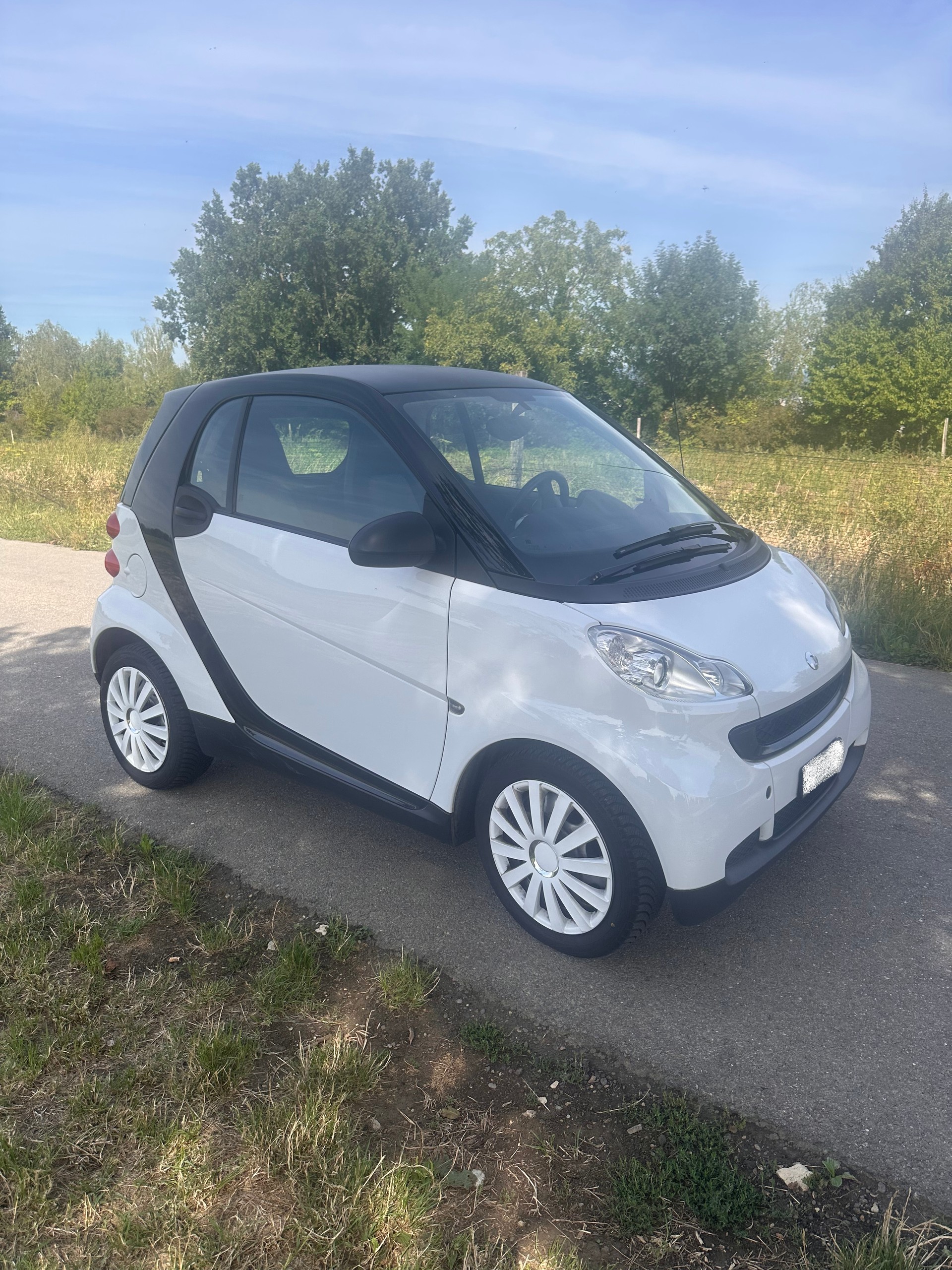 SMART 1000 61 Pure mhd-image-3