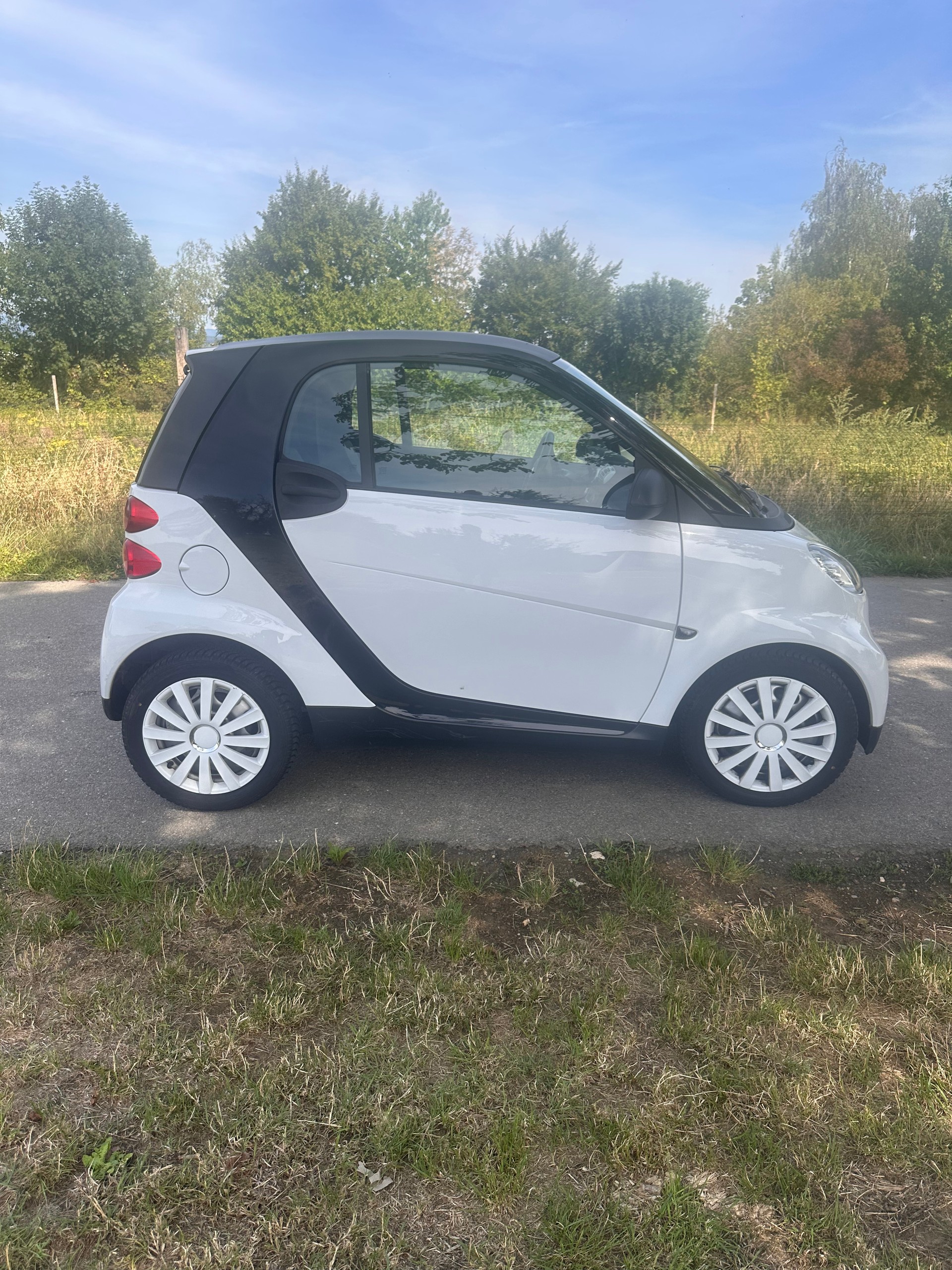 SMART 1000 61 Pure mhd-image-1