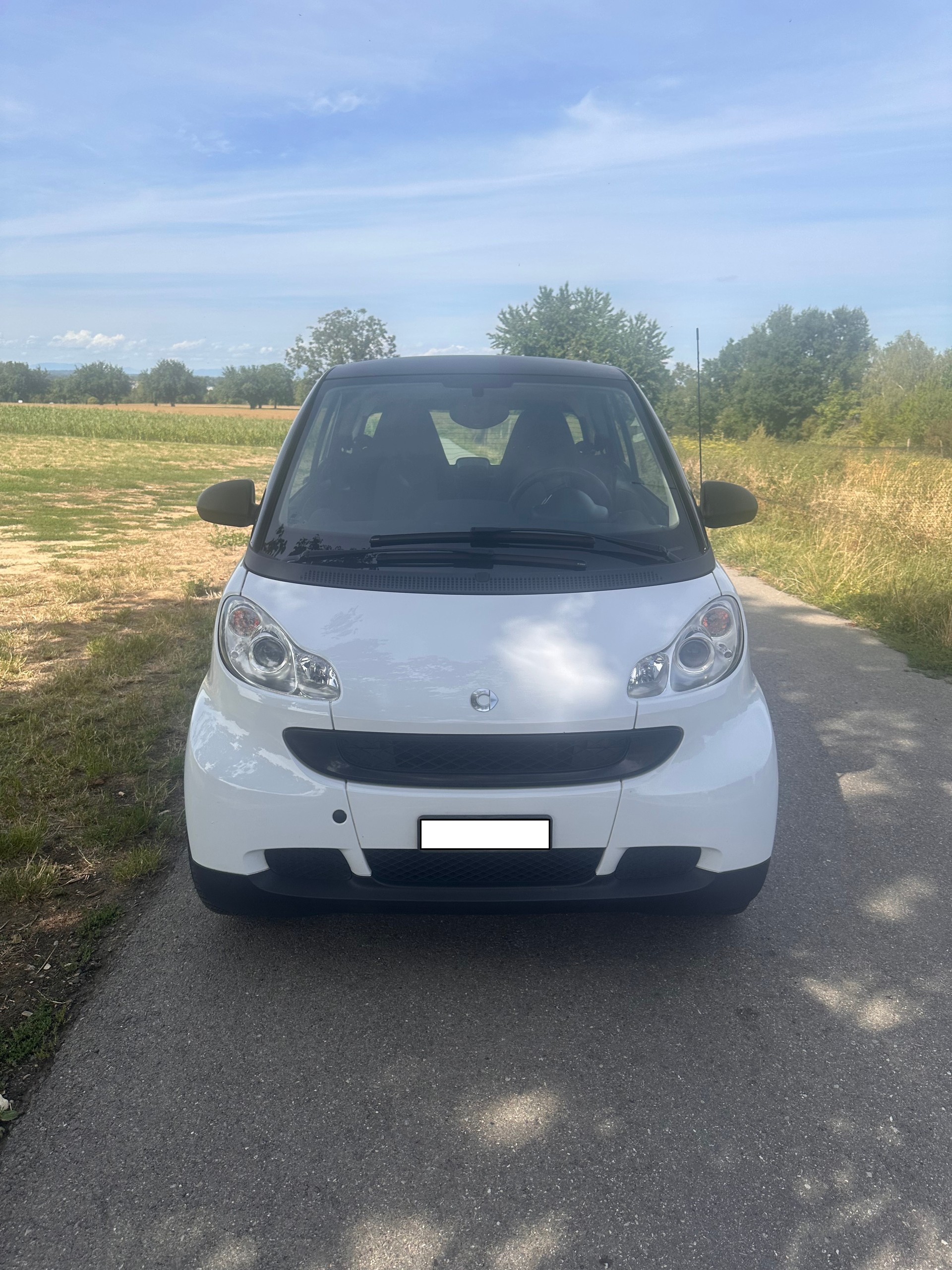 SMART 1000 61 Pure mhd-image-6