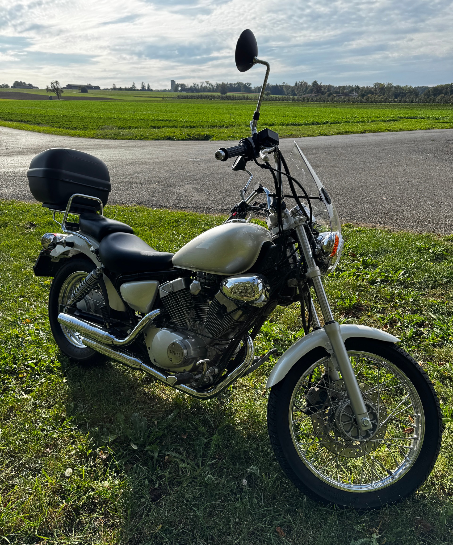 YAMAHA XV 125 Virago-image-2