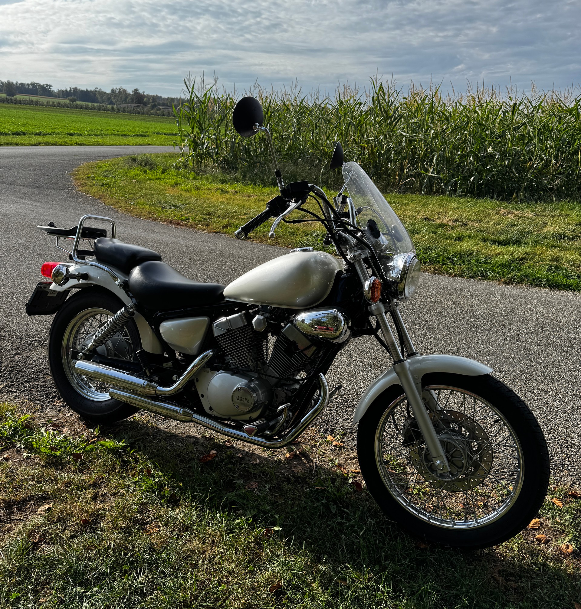 YAMAHA XV 125 Virago-image-0