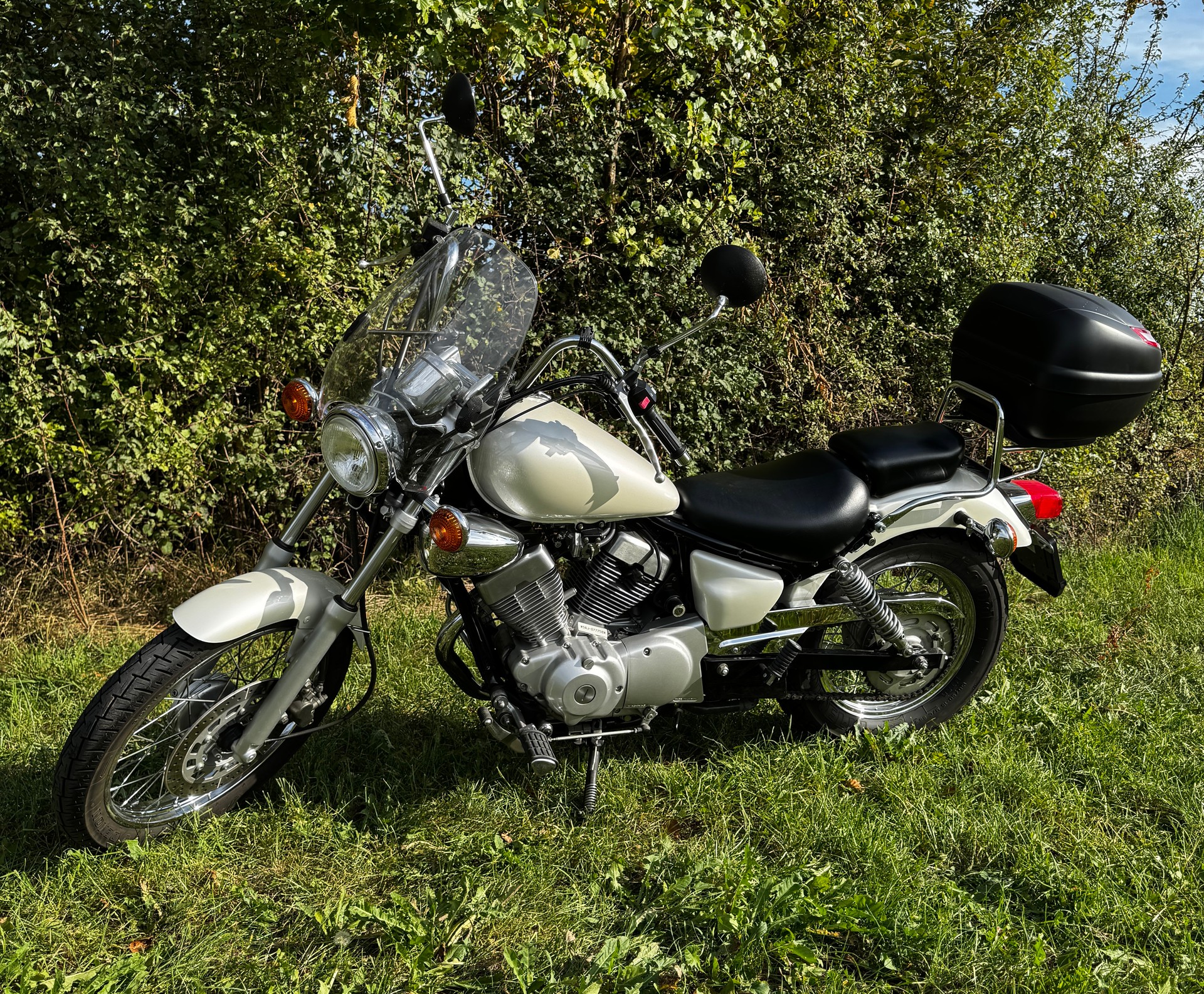 YAMAHA XV 125 Virago-image-1
