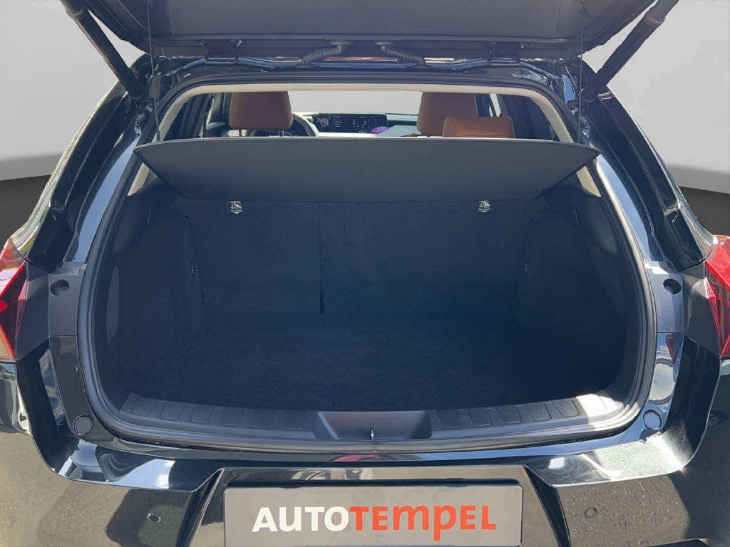LEXUS UX 300e Excellence 41582/001-image-8