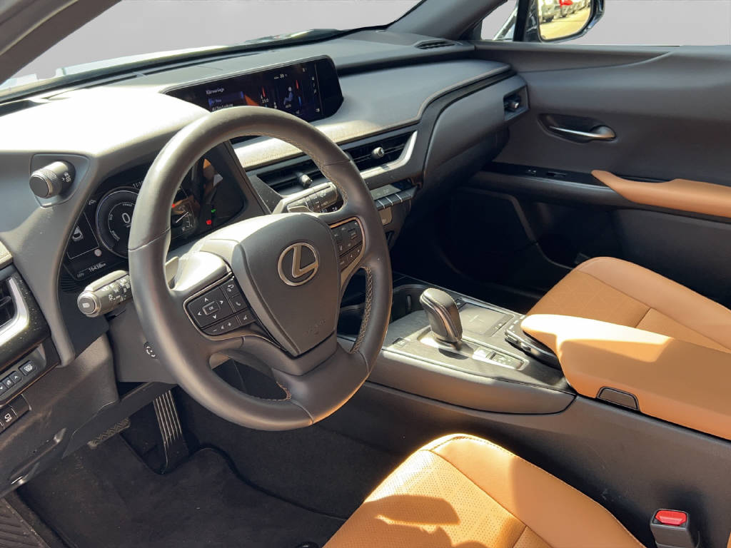 LEXUS UX 300e Excellence 41582/001-showroom-element-3