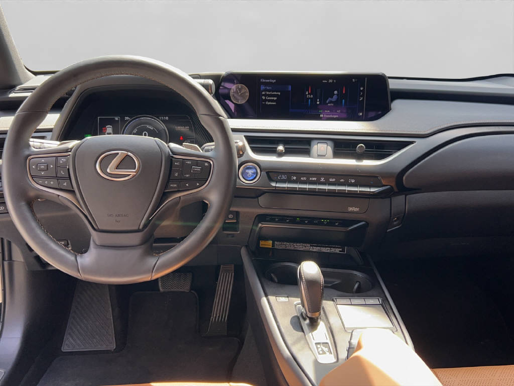 LEXUS UX 300e Excellence 41582/001-image-5