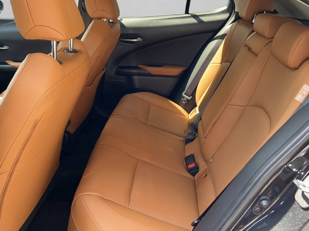 LEXUS UX 300e Excellence 41582/001-image-4