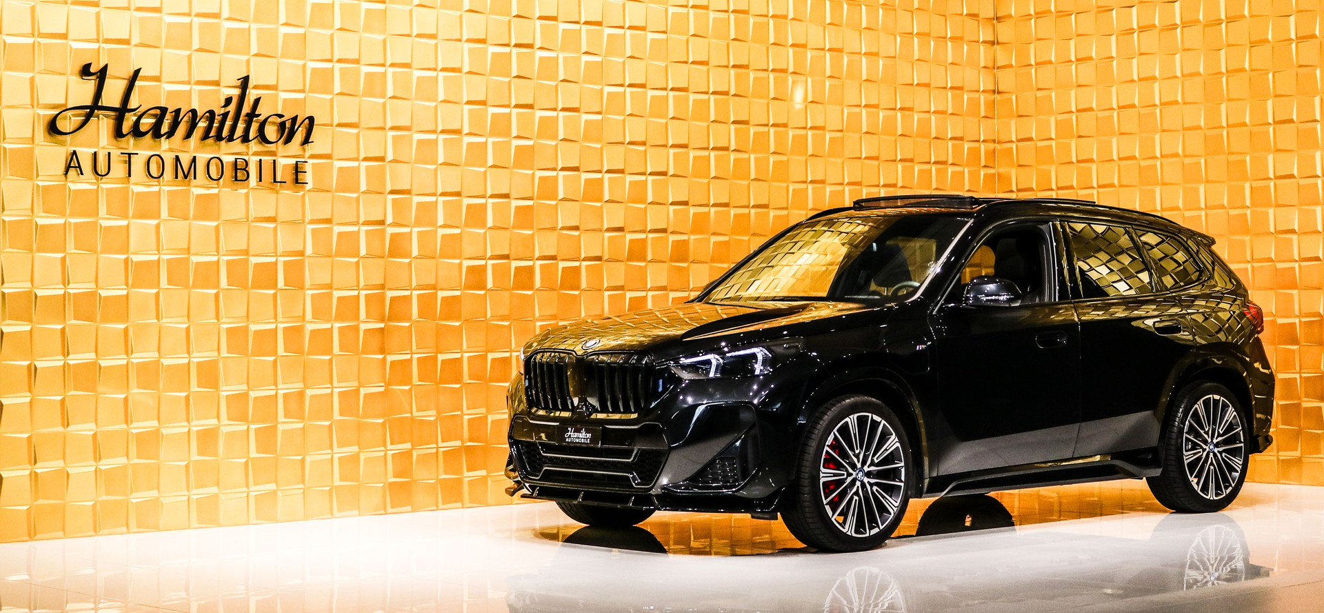 BMW X1 25e M Sport Pro xDrive-showroom-element-1