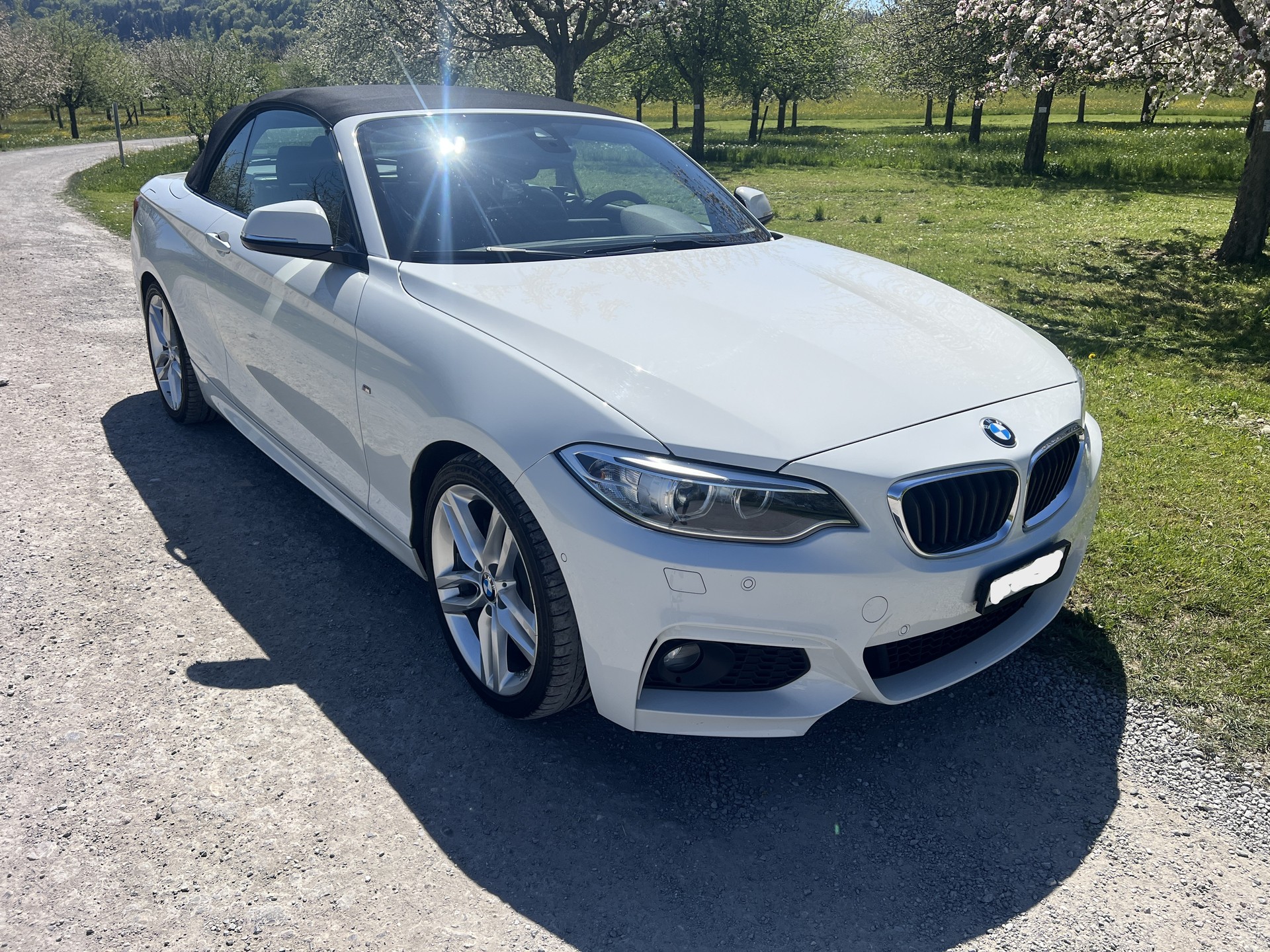 BMW 228i M Sport Steptronic-image-10