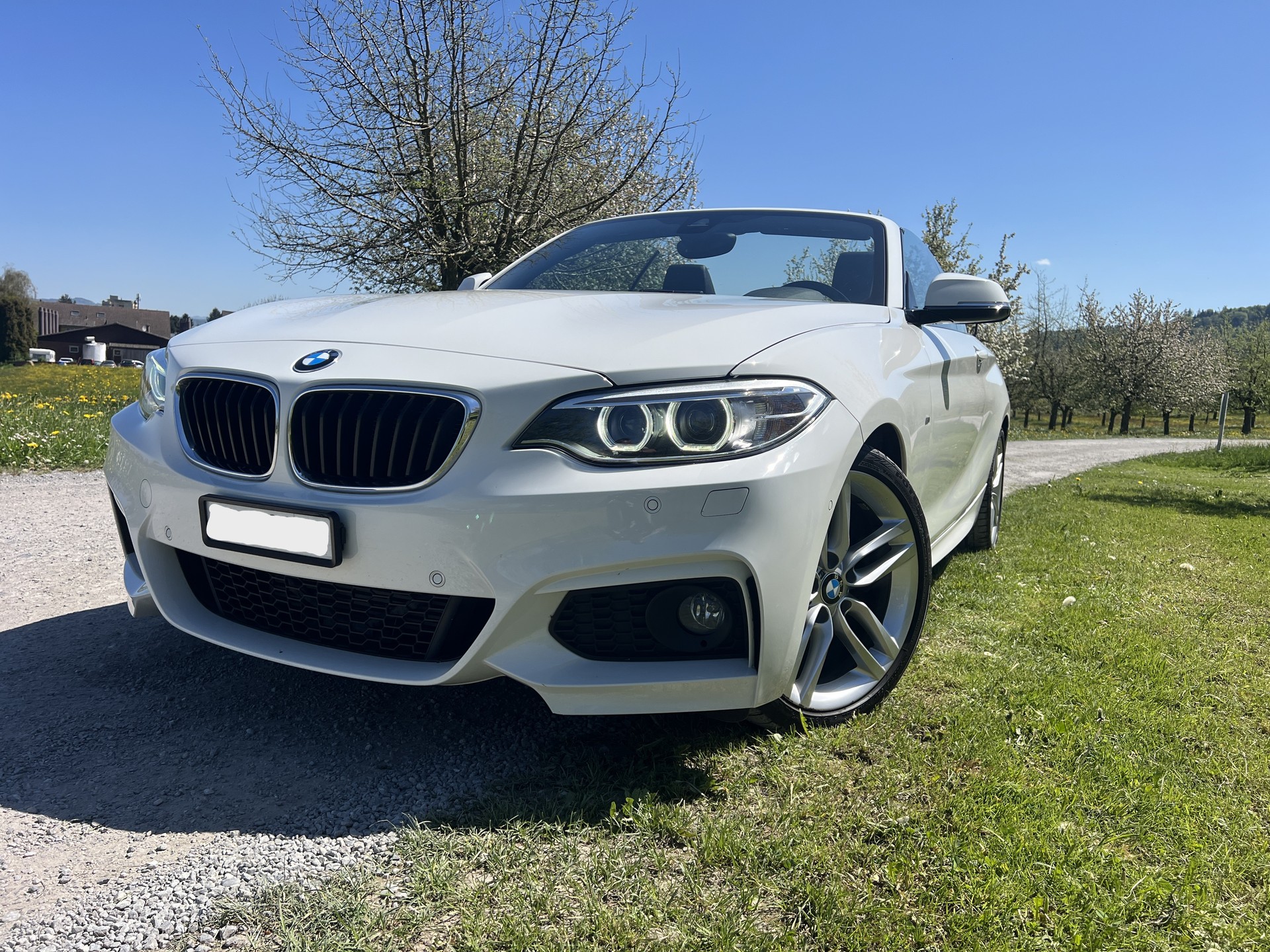 BMW 228i M Sport Steptronic-image-9