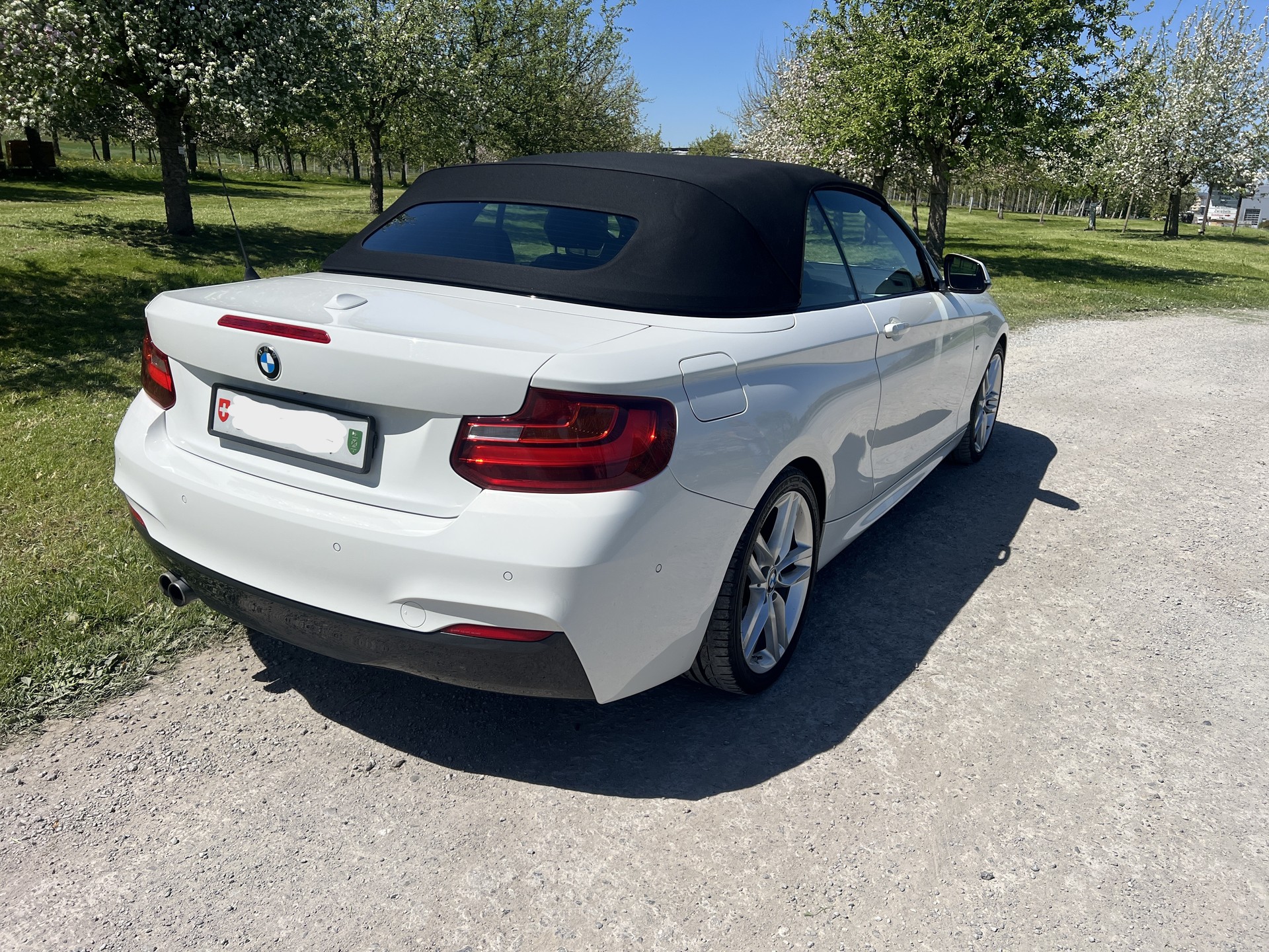 BMW 228i M Sport Steptronic-image-11