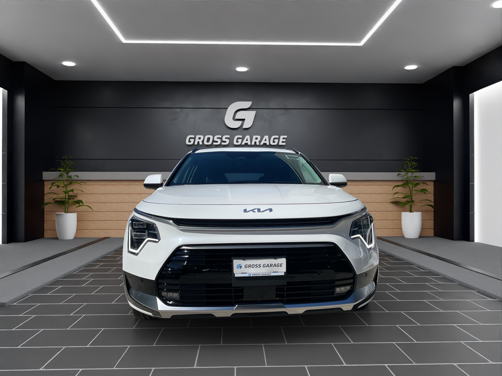 KIA Niro 1.6 GDi Plug-in Hybrid Power Edition-showroom-element-1