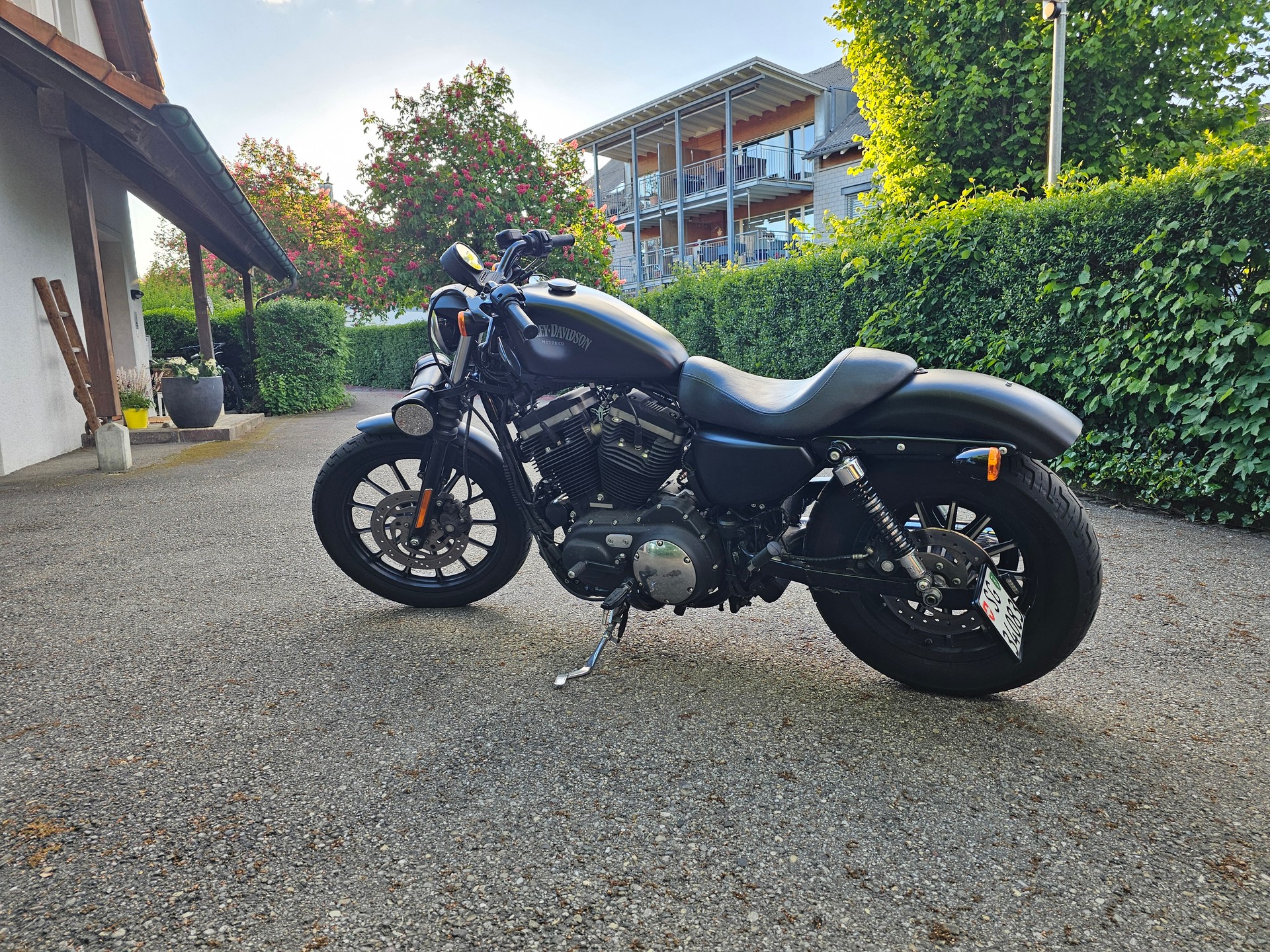 HARLEY-DAVIDSON XL 883 N Sportster Iron-image-3