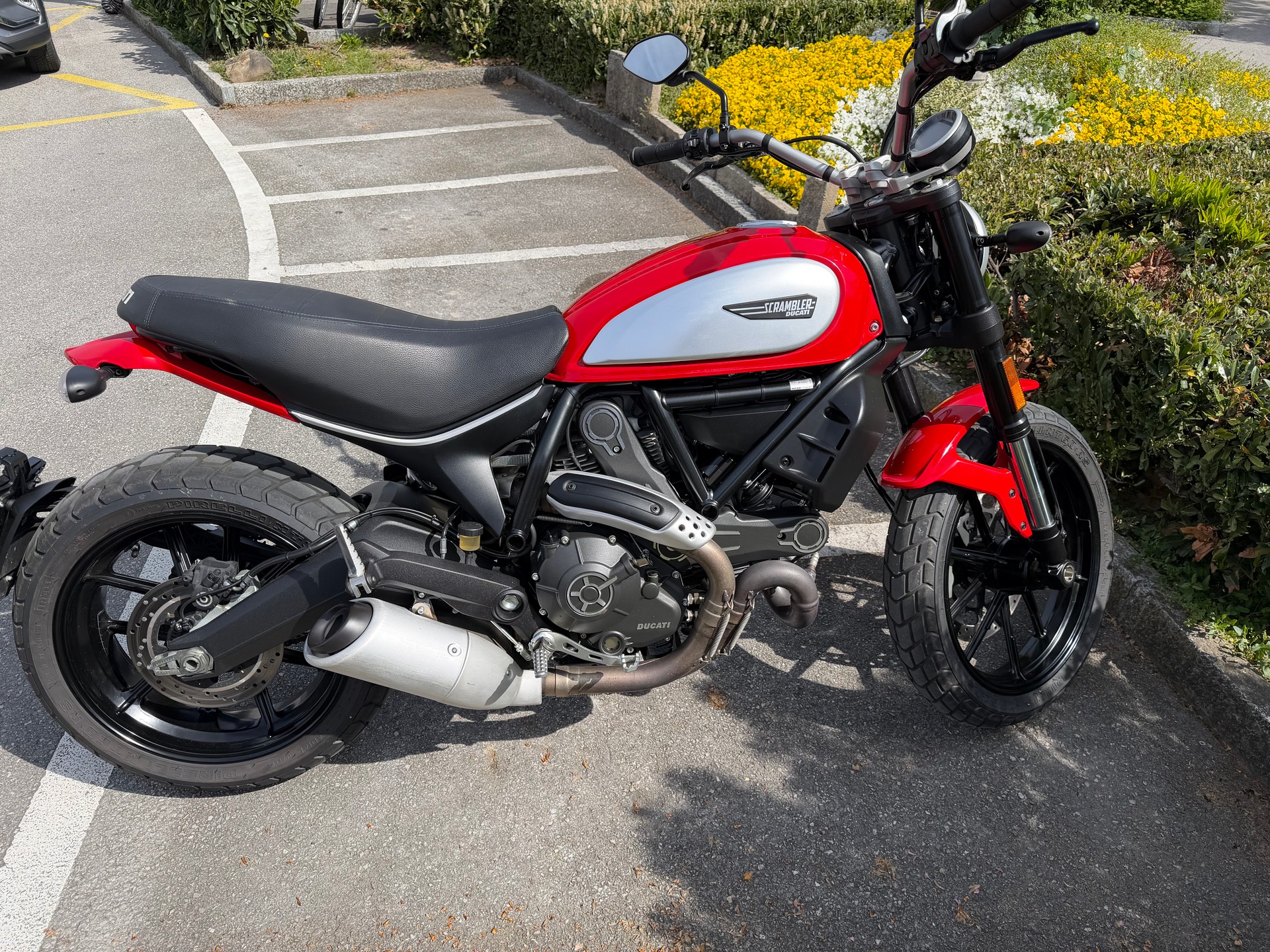 DUCATI Scrambler 800 Icon