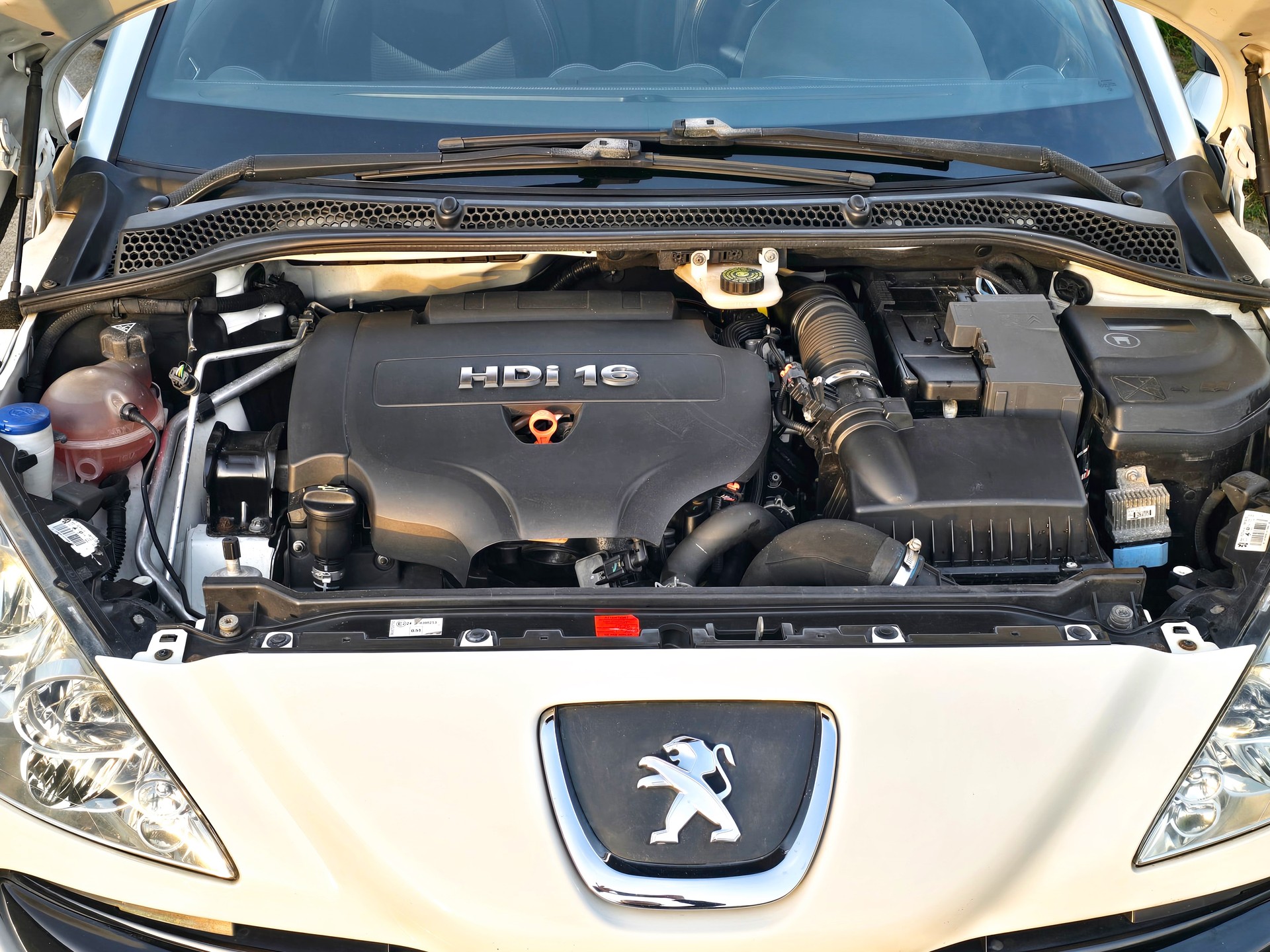 PEUGEOT 2.0 HDi-image-3