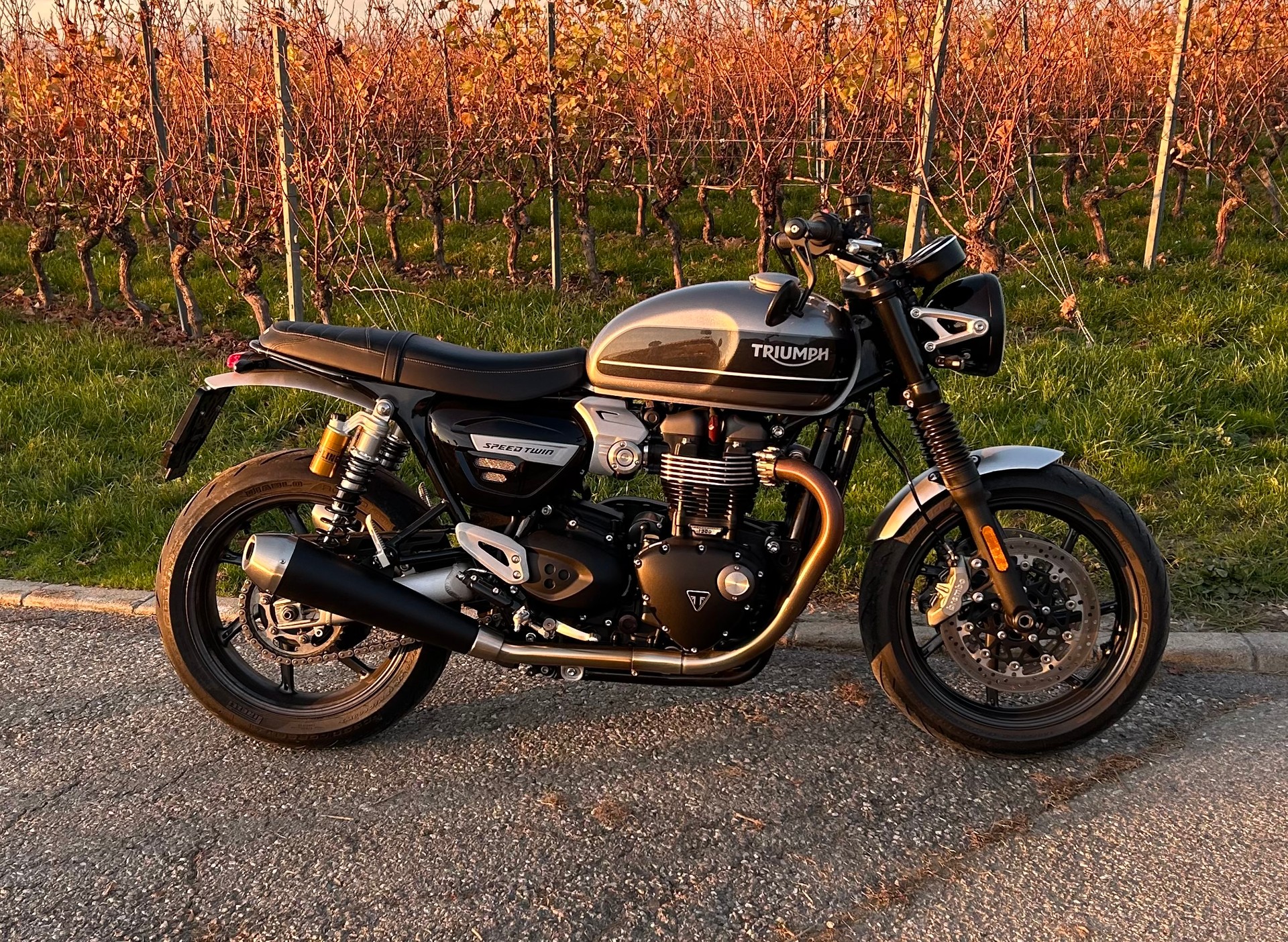 TRIUMPH Speed Twin 1200 with Ohlins suspension-image-1