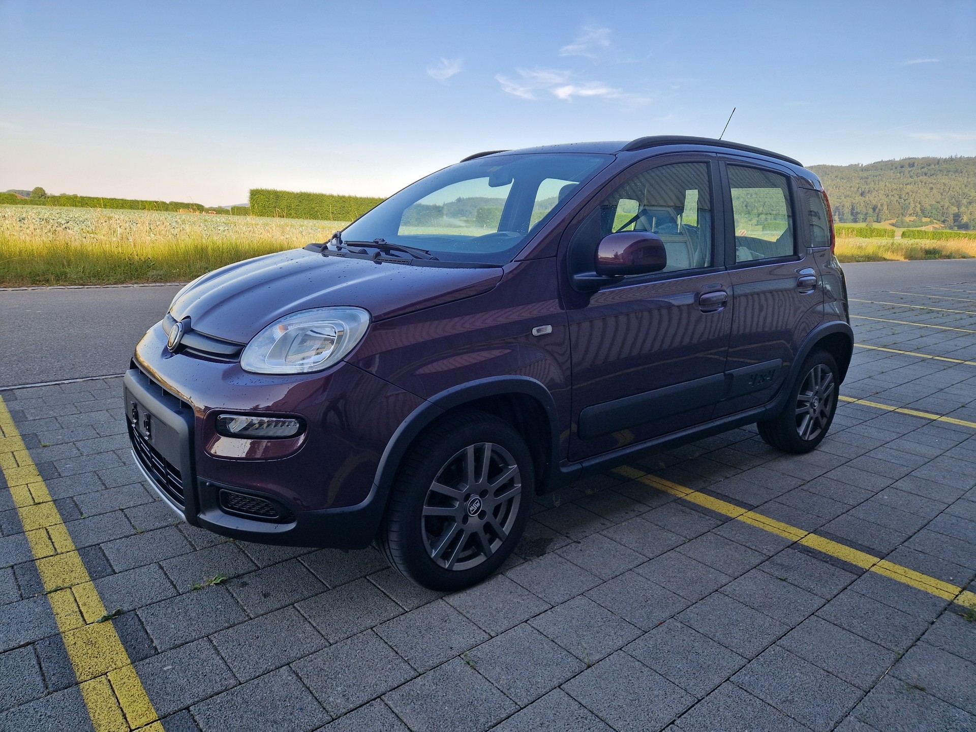 FIAT Panda 0.9 Twinair Turbo Antartica 4x4-image-1