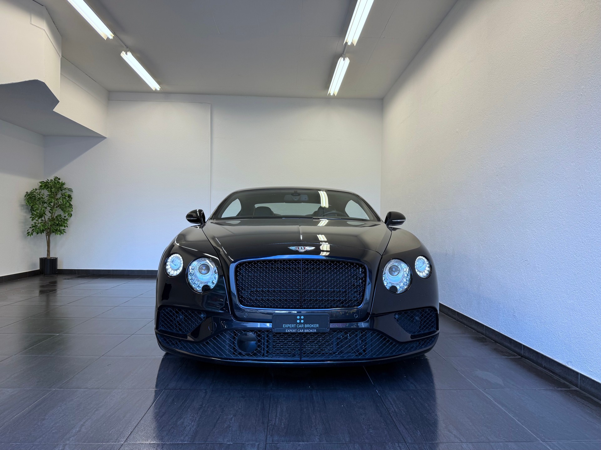 BENTLEY Continental GT 4.0 V8 "ALL BLACK"-showroom-element-3