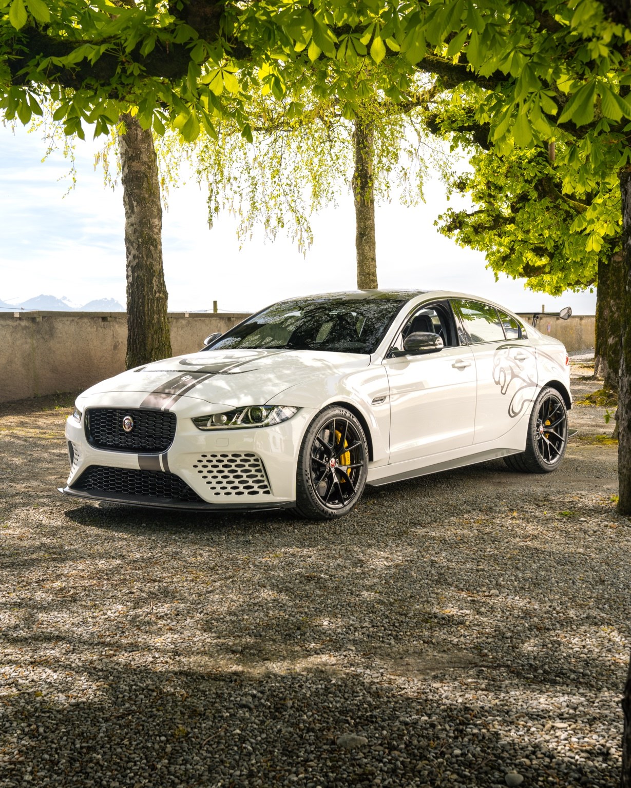 JAGUAR XE SVO Project 8, 1/62 weltweit mit Werksgarantie bis 8.27!-image-5