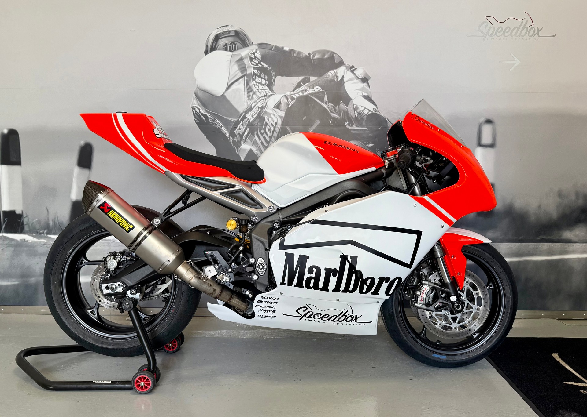 TRIUMPH 765 Racing-image-1