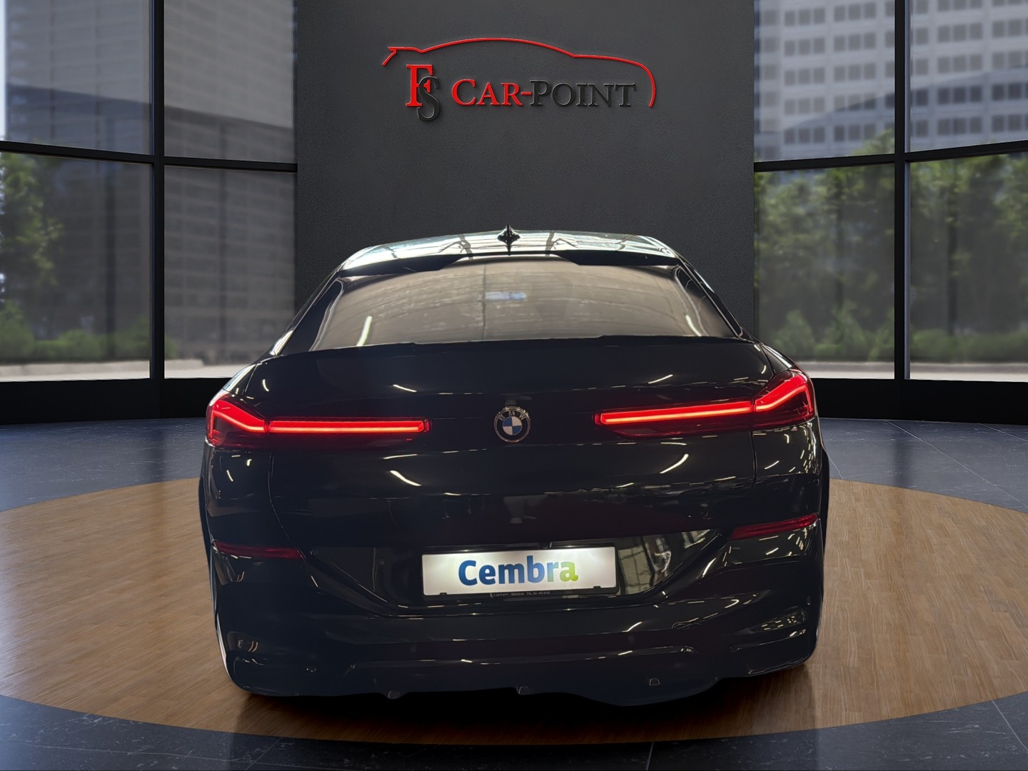 BMW X6 M50i Steptronic-showroom-element-3