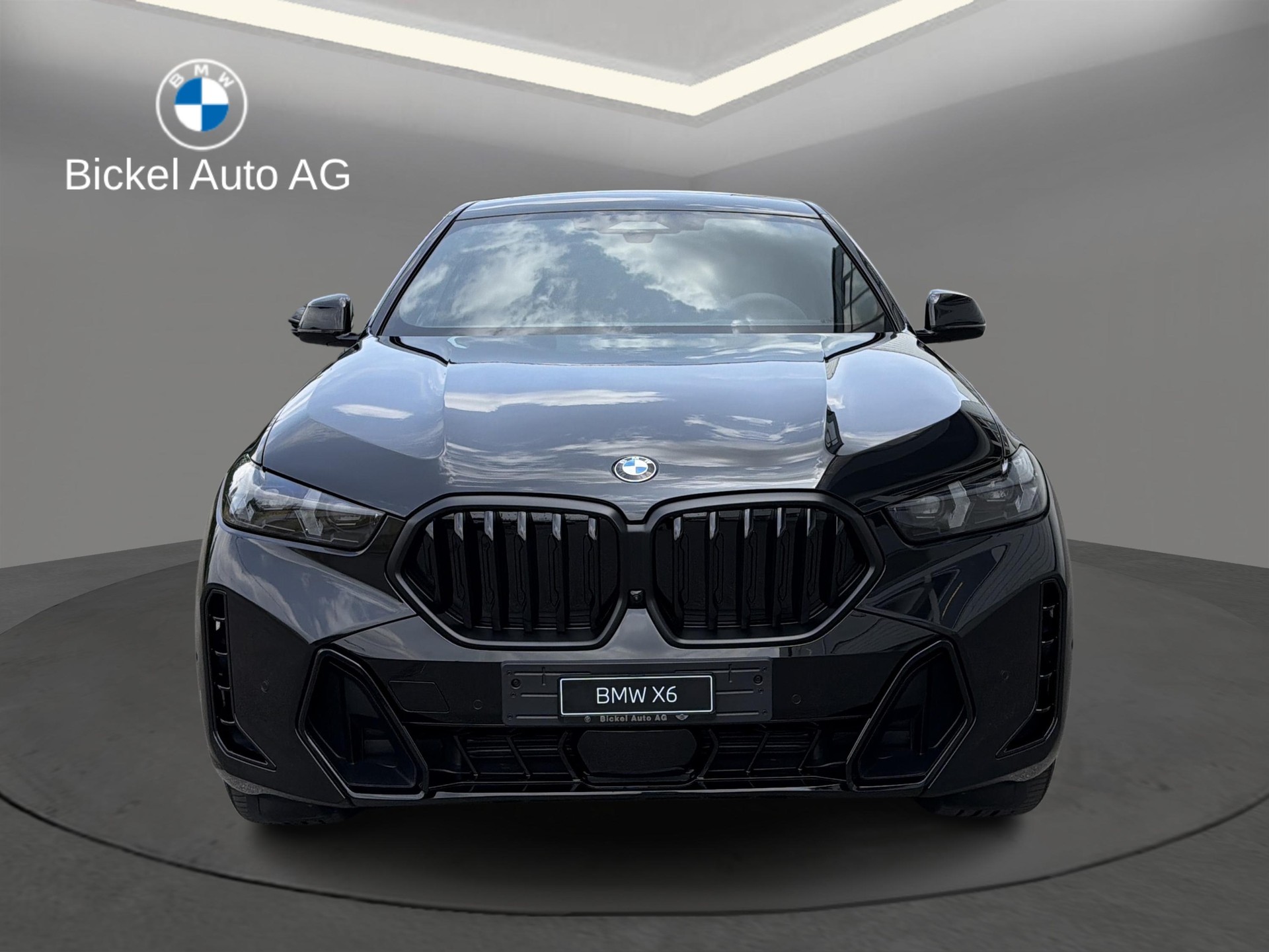 BMW X6 xDrive 48V 40d M Sport Pro-showroom-element-1