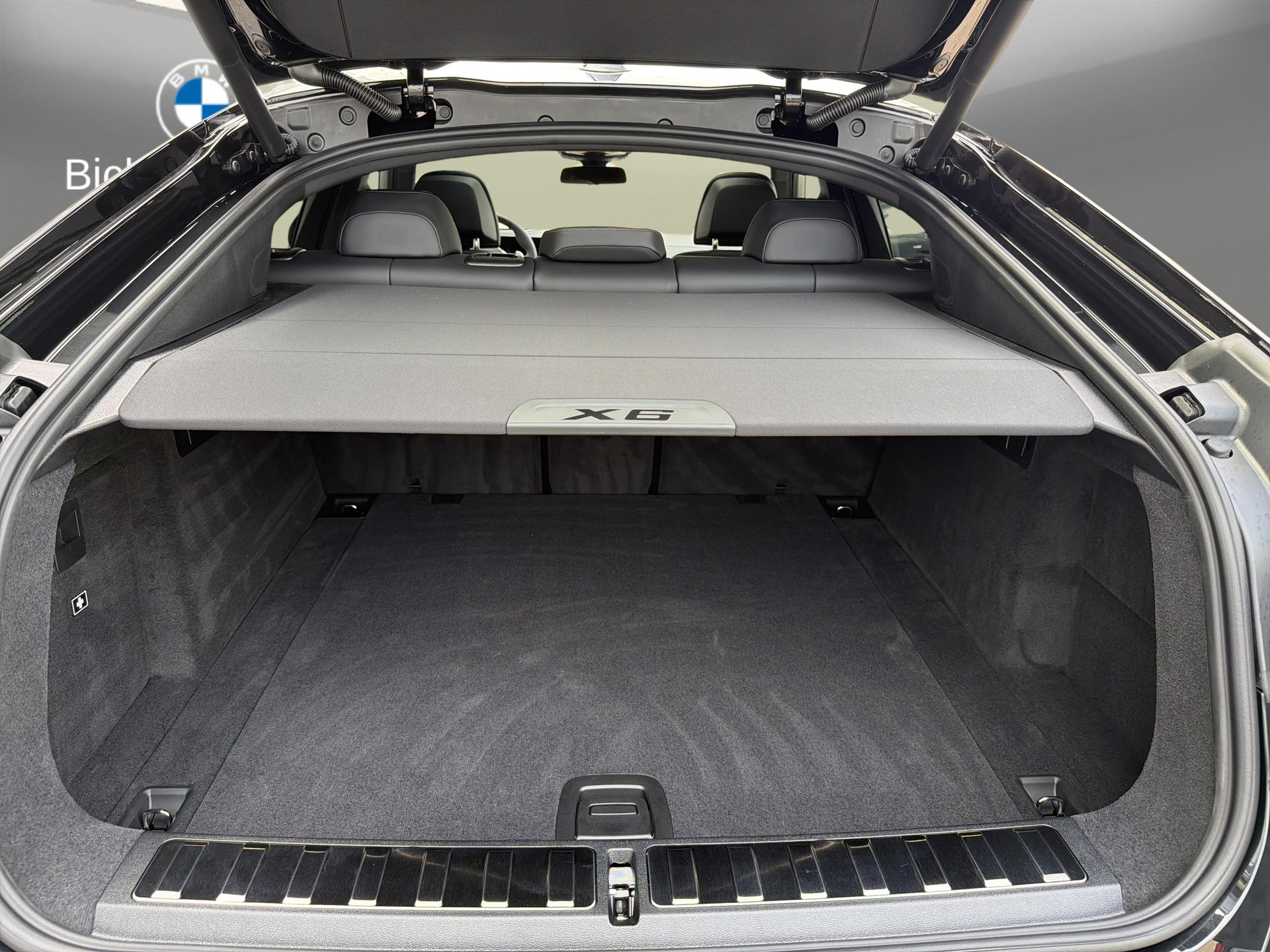 BMW X6 xDrive 48V 40d M Sport Pro-image-7