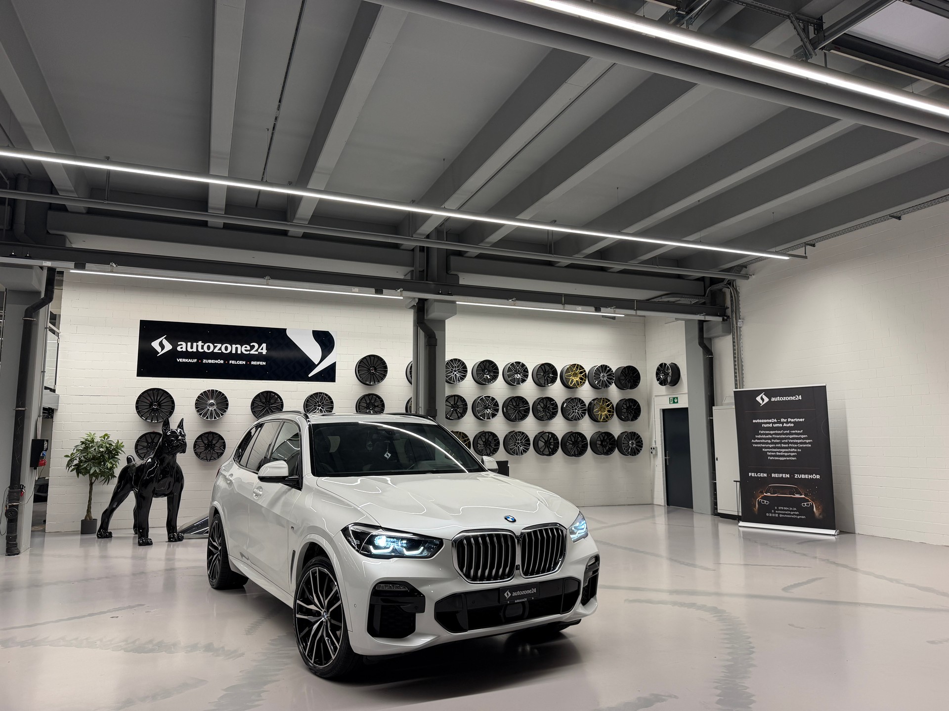BMW X5 30d xDrive SAG *M Sport*CH-Auto*Harman/Kardon*AHK*Standheizung*Garantie