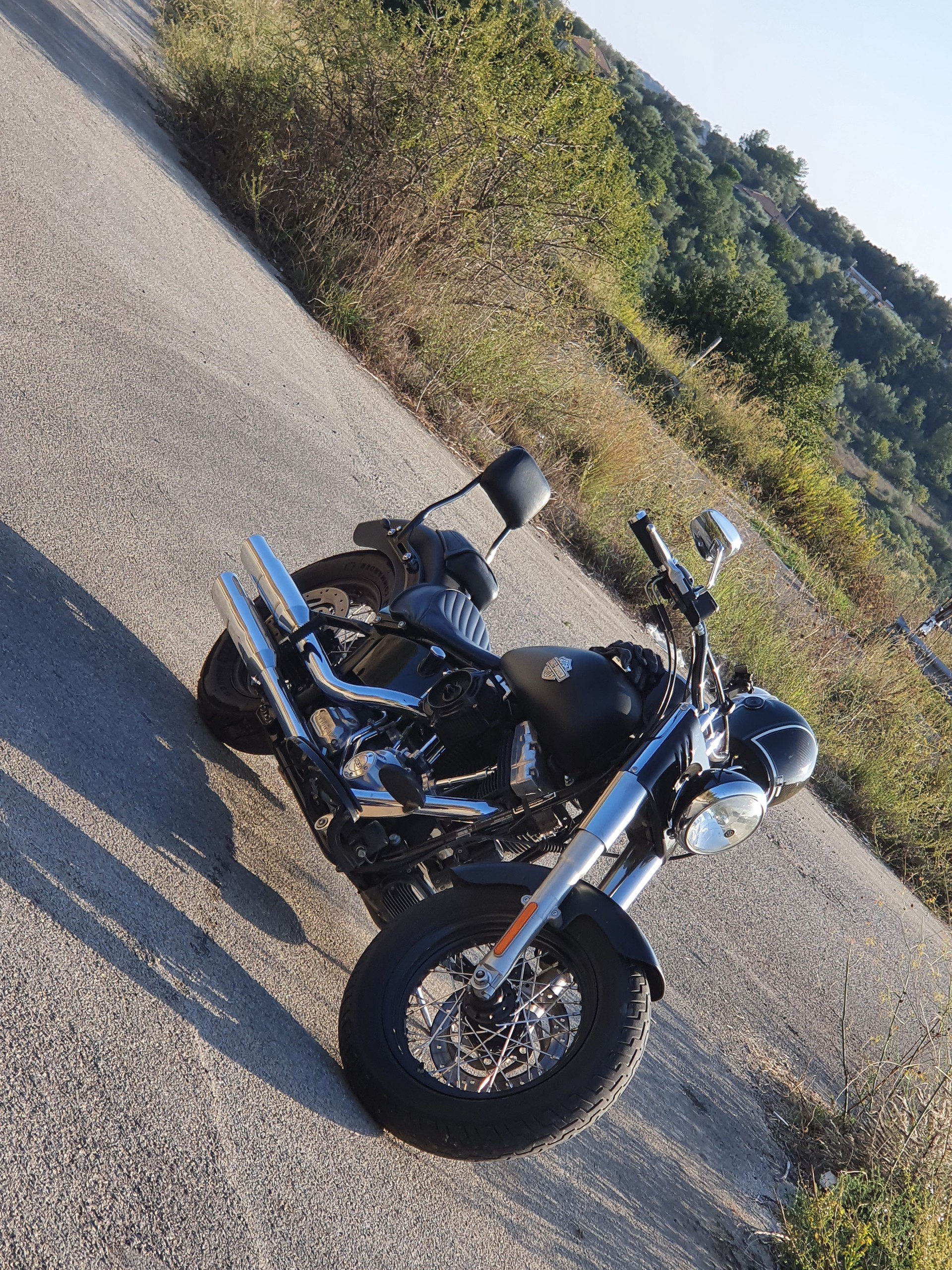 HARLEY-DAVIDSON FLS Softail Slim ABS-image-1