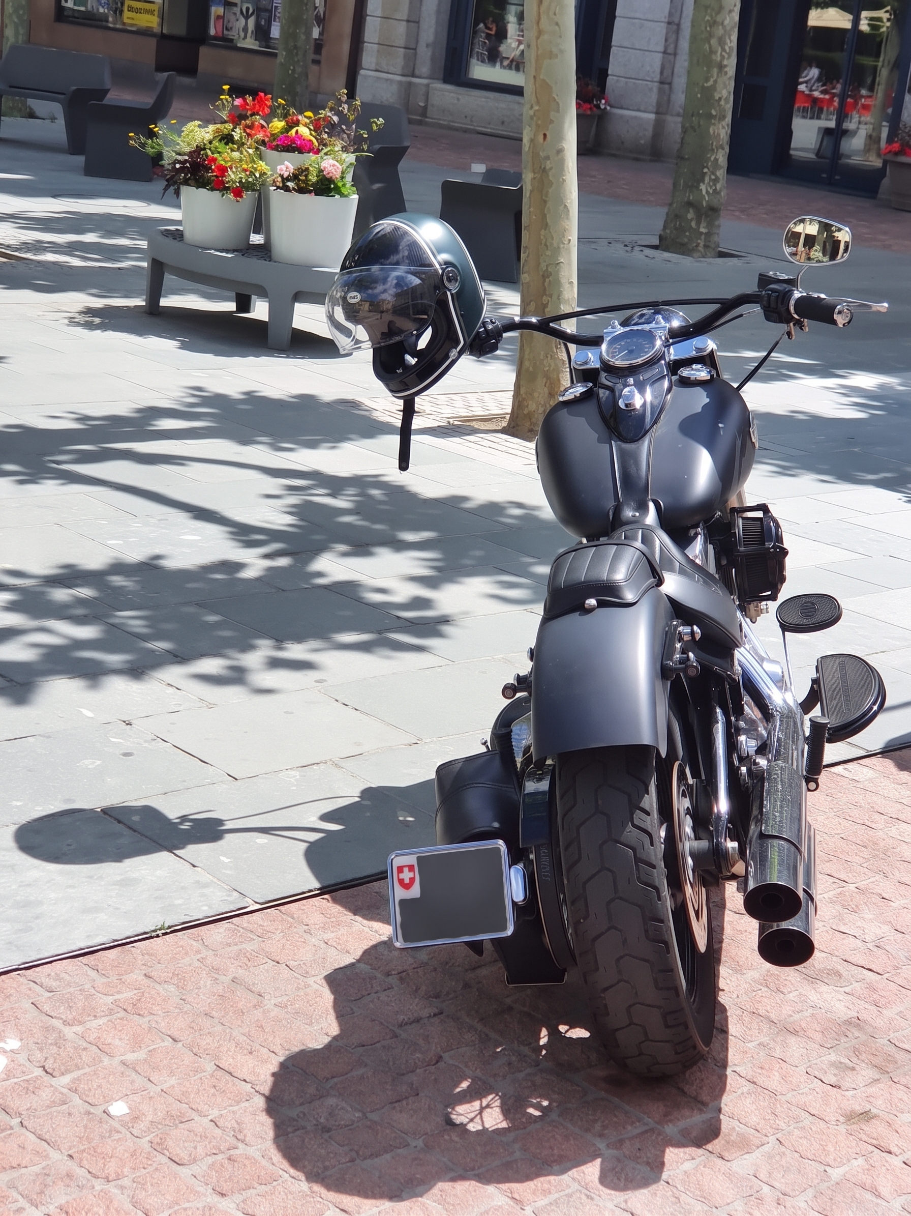 HARLEY-DAVIDSON FLS Softail Slim ABS-image-2