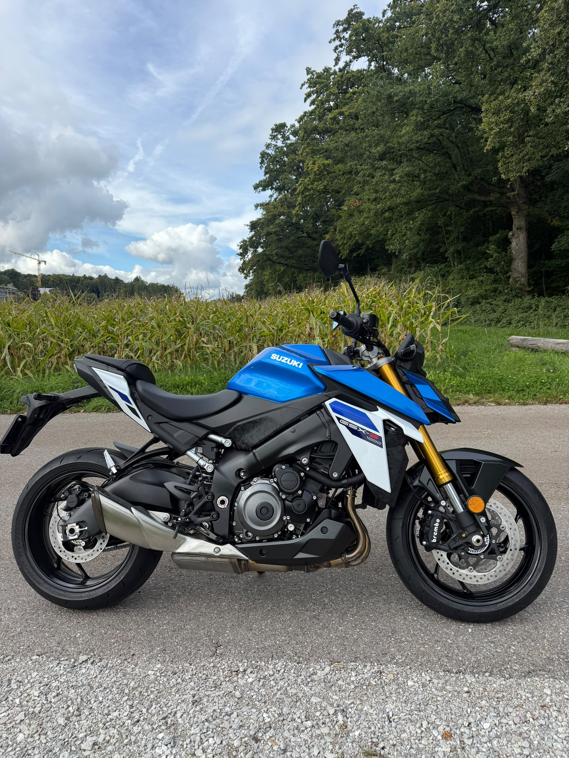 SUZUKI GSX-S 1000-image-0