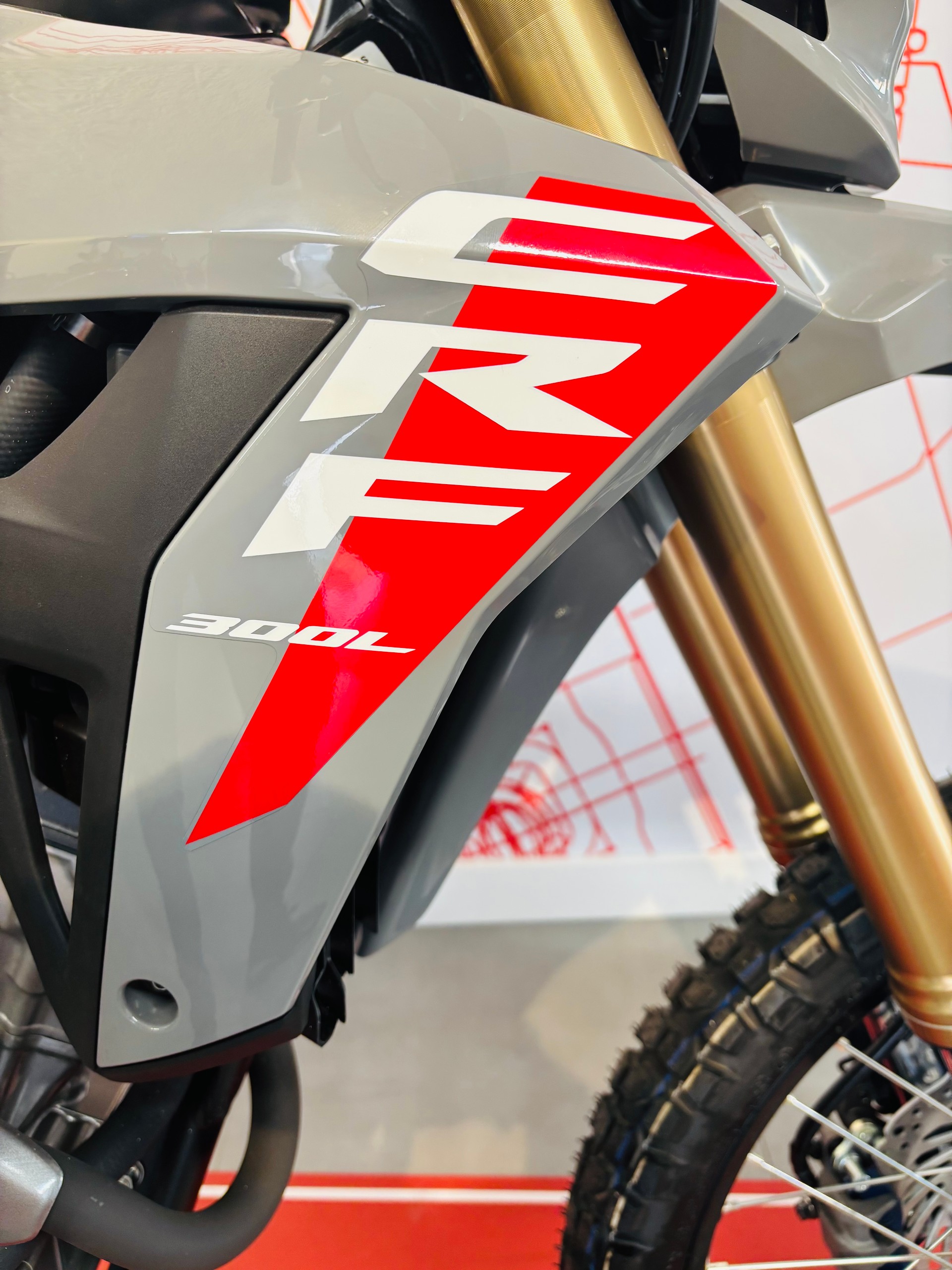 HONDA CRF 300 L-image-3