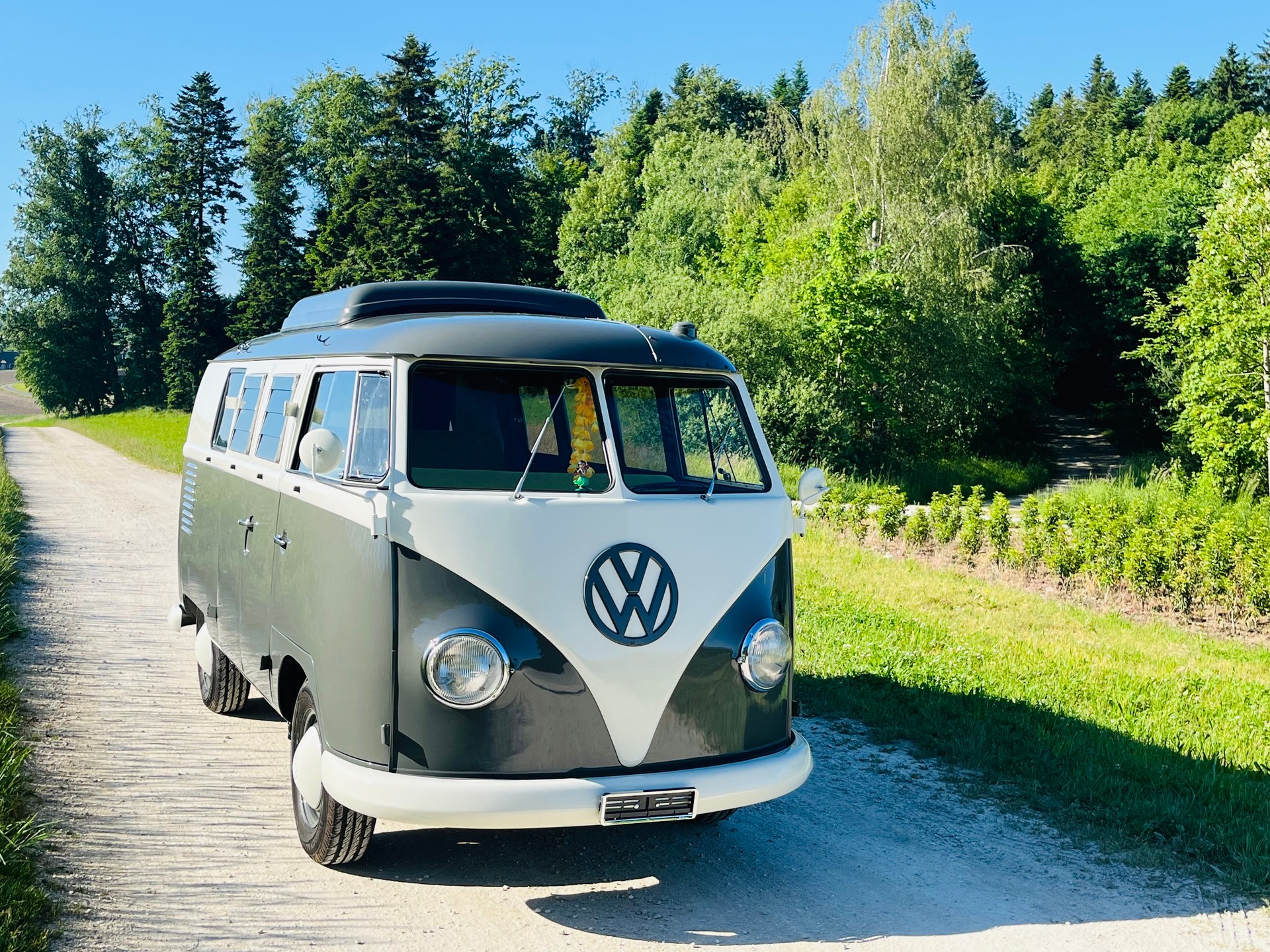 VW T1