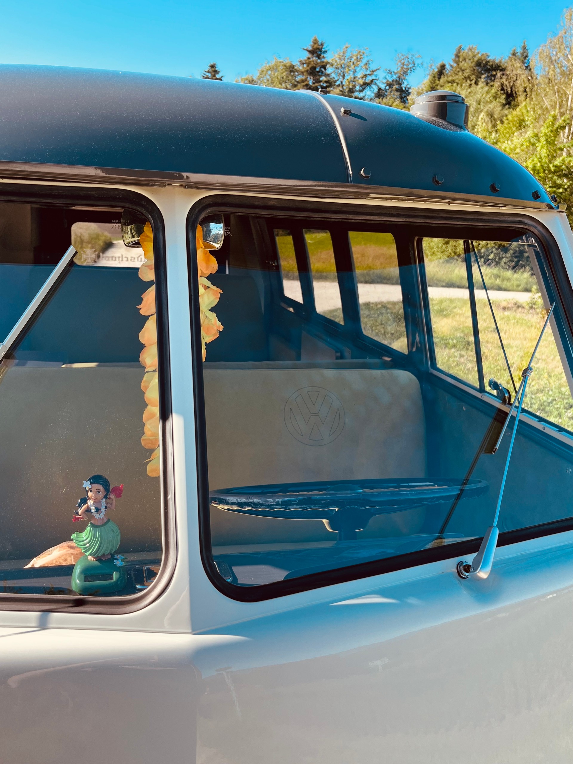 VW T1-image-5