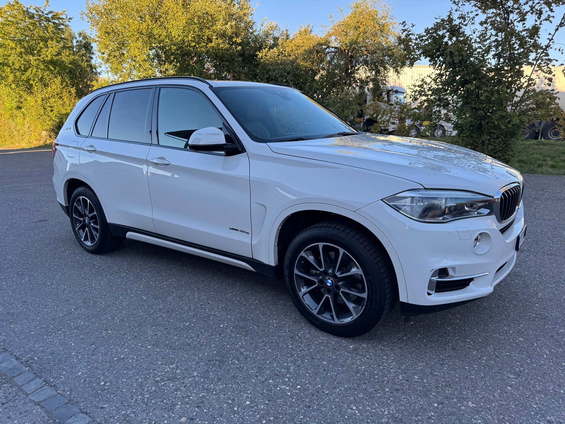 BMW X5 xDrive 40e iPerformance Steptronic-showroom-element-1