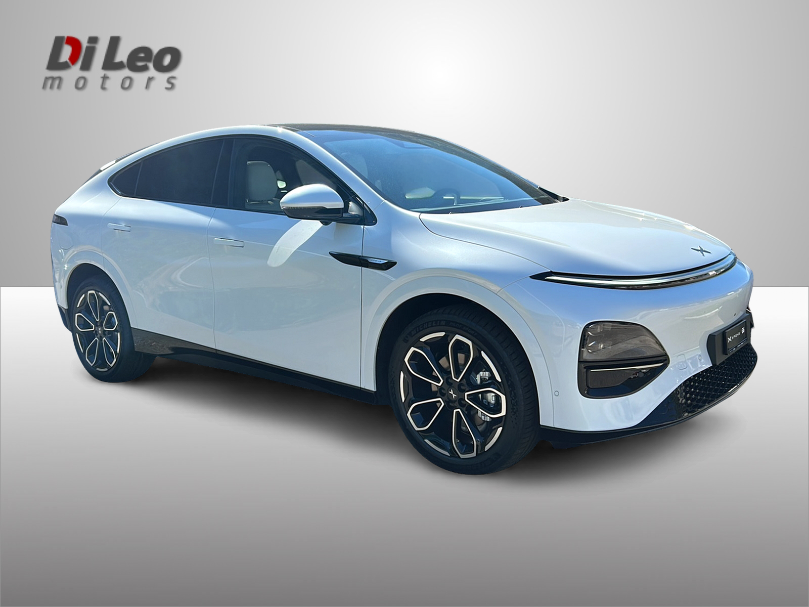 XPENG G6 80kWh Performance AWD-image-2