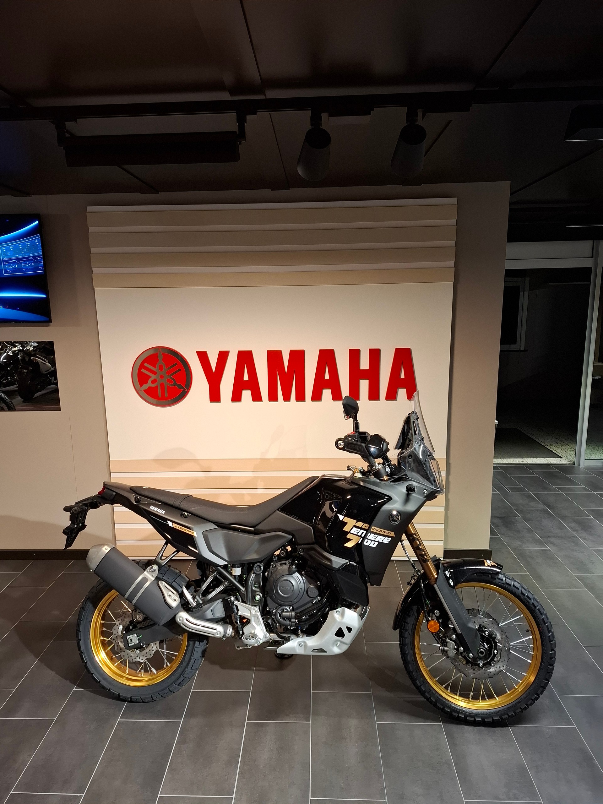YAMAHA World Raid-image-1