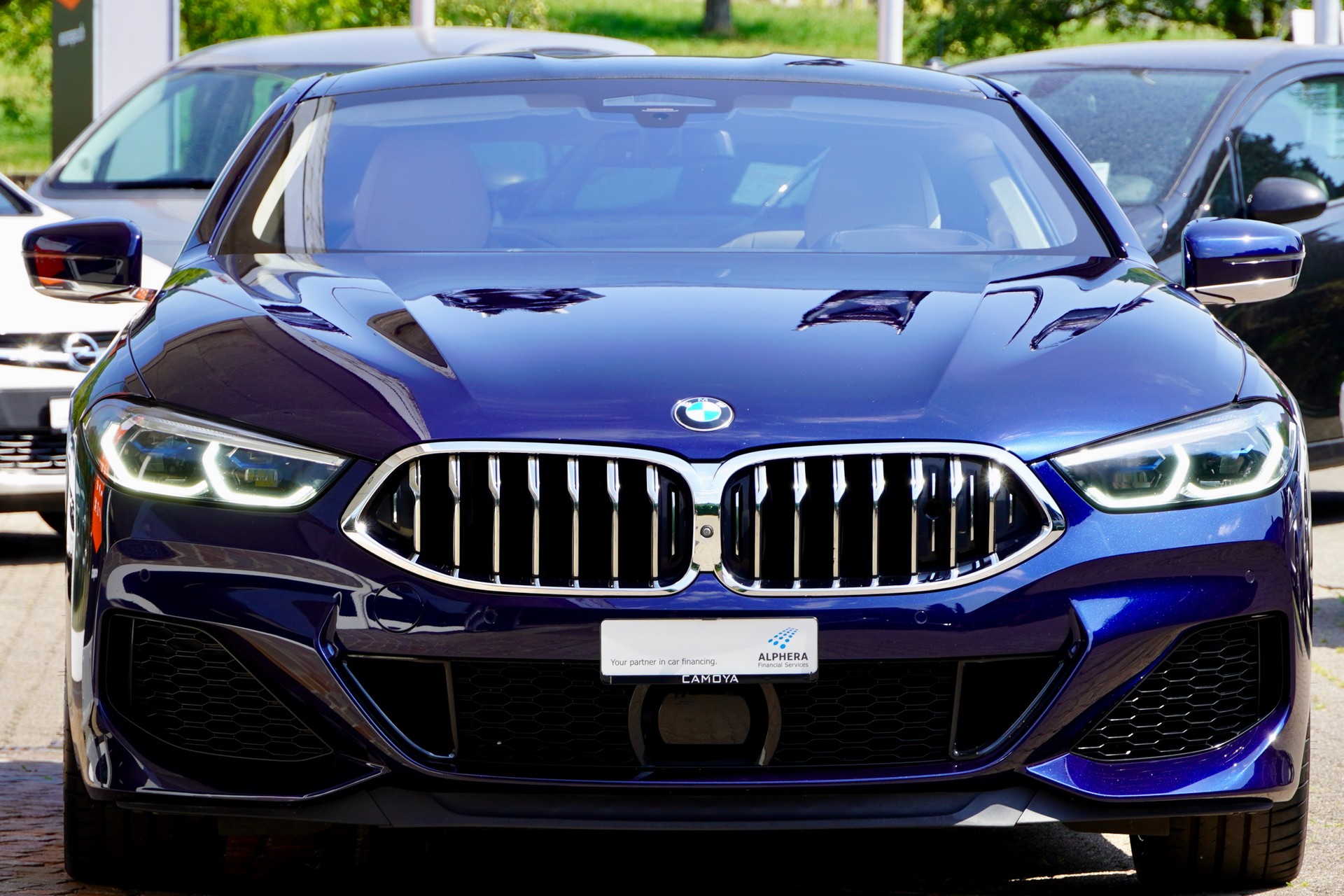 BMW M850i xDrive Steptronic-showroom-element-2