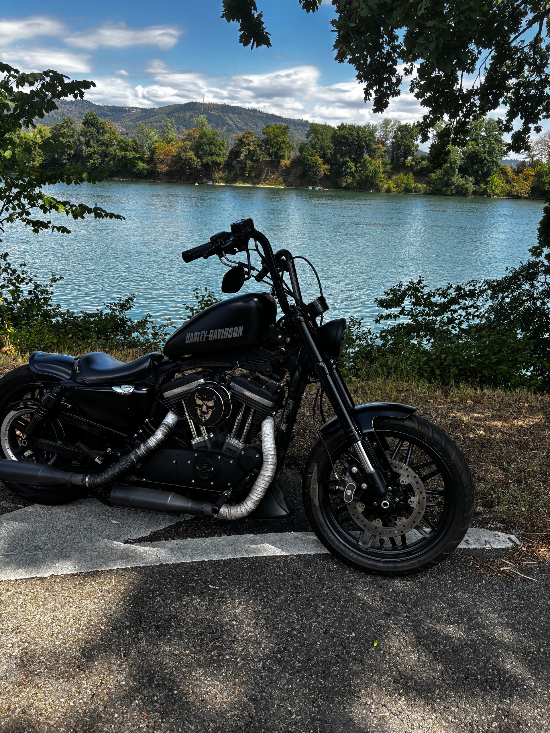 HARLEY-DAVIDSON XL 1200 CX Sportster Roadster ABS-image-2