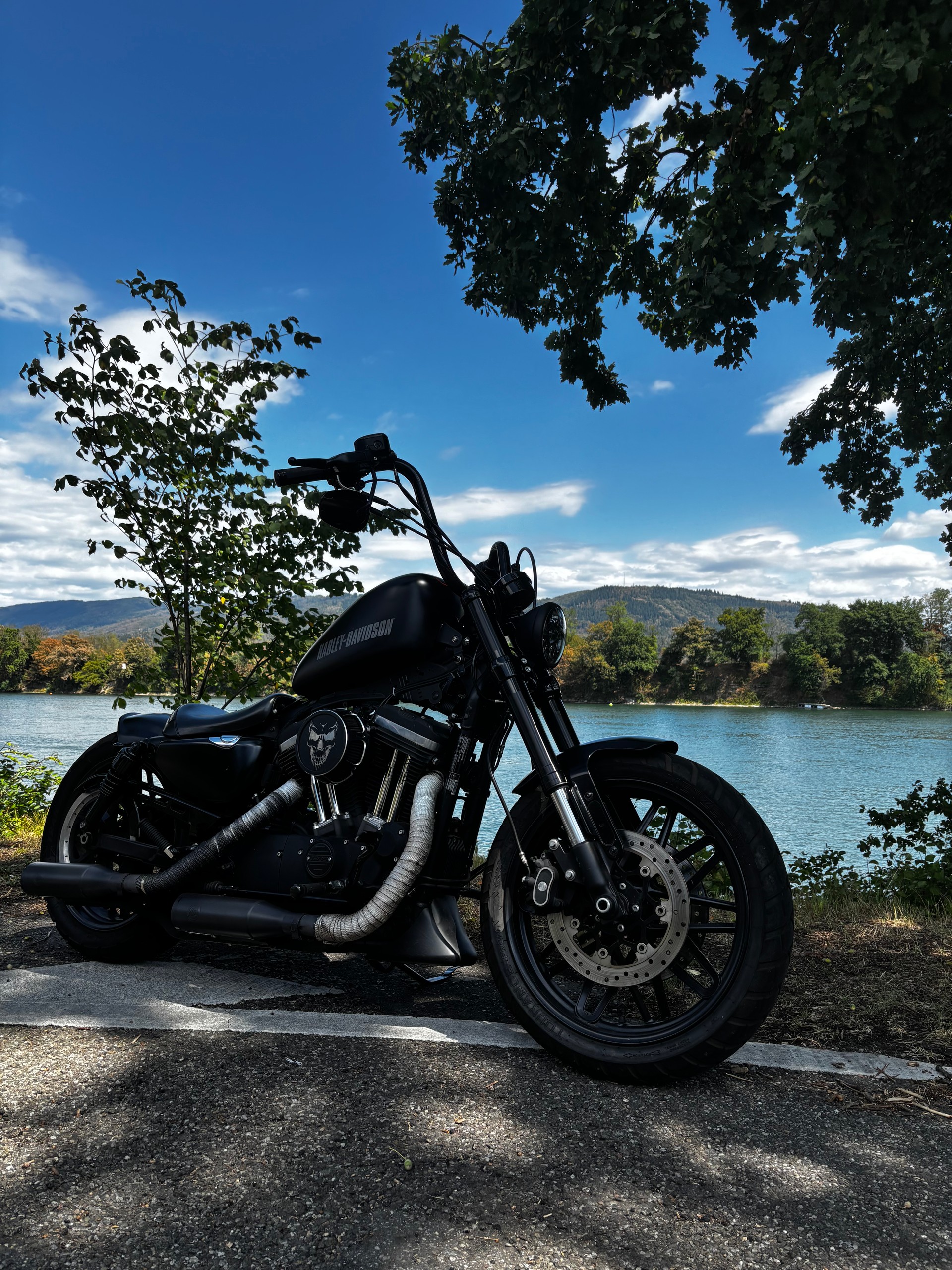 HARLEY-DAVIDSON XL 1200 CX Sportster Roadster ABS-image-1
