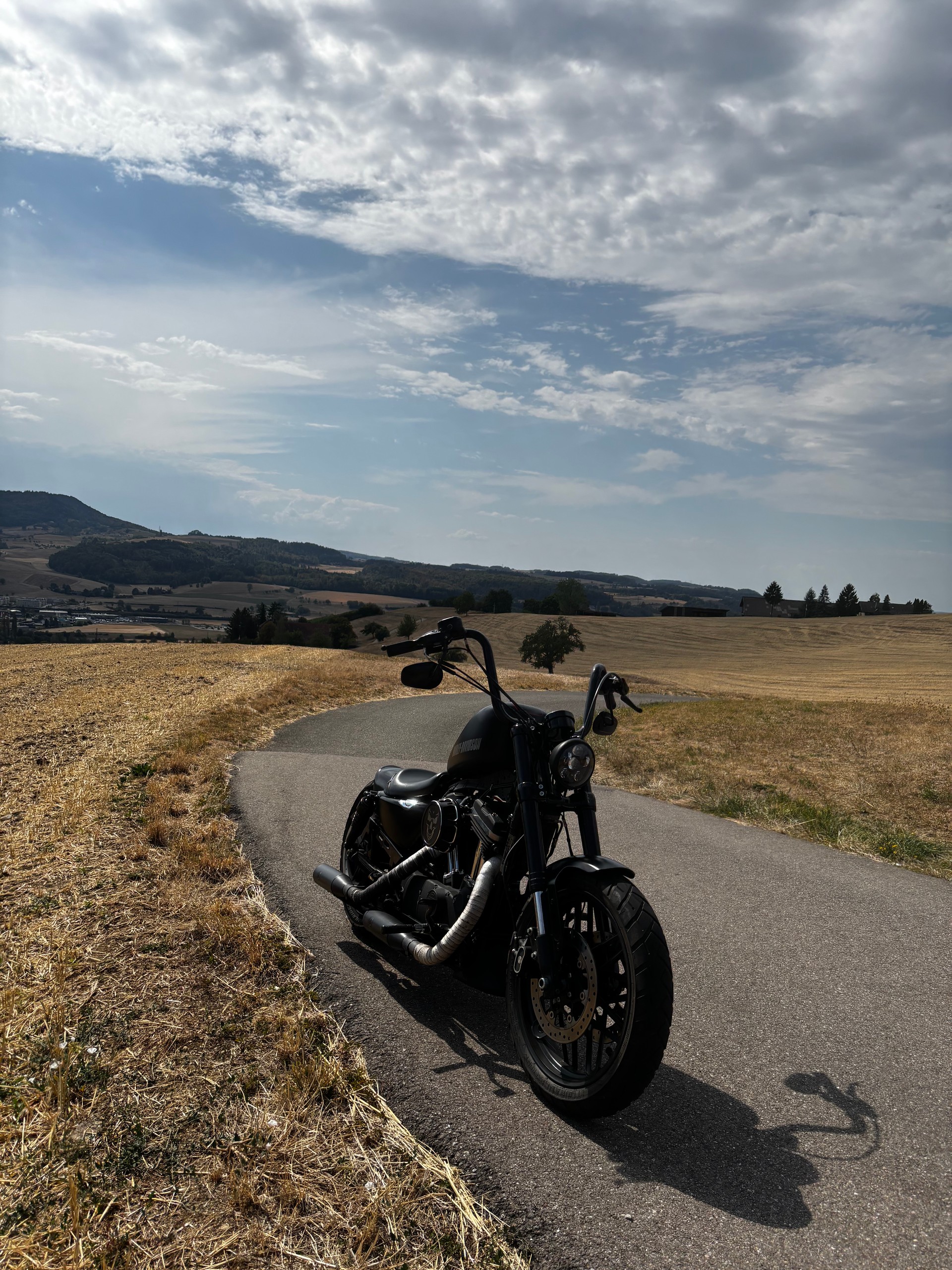 HARLEY-DAVIDSON XL 1200 CX Sportster Roadster ABS-image-5