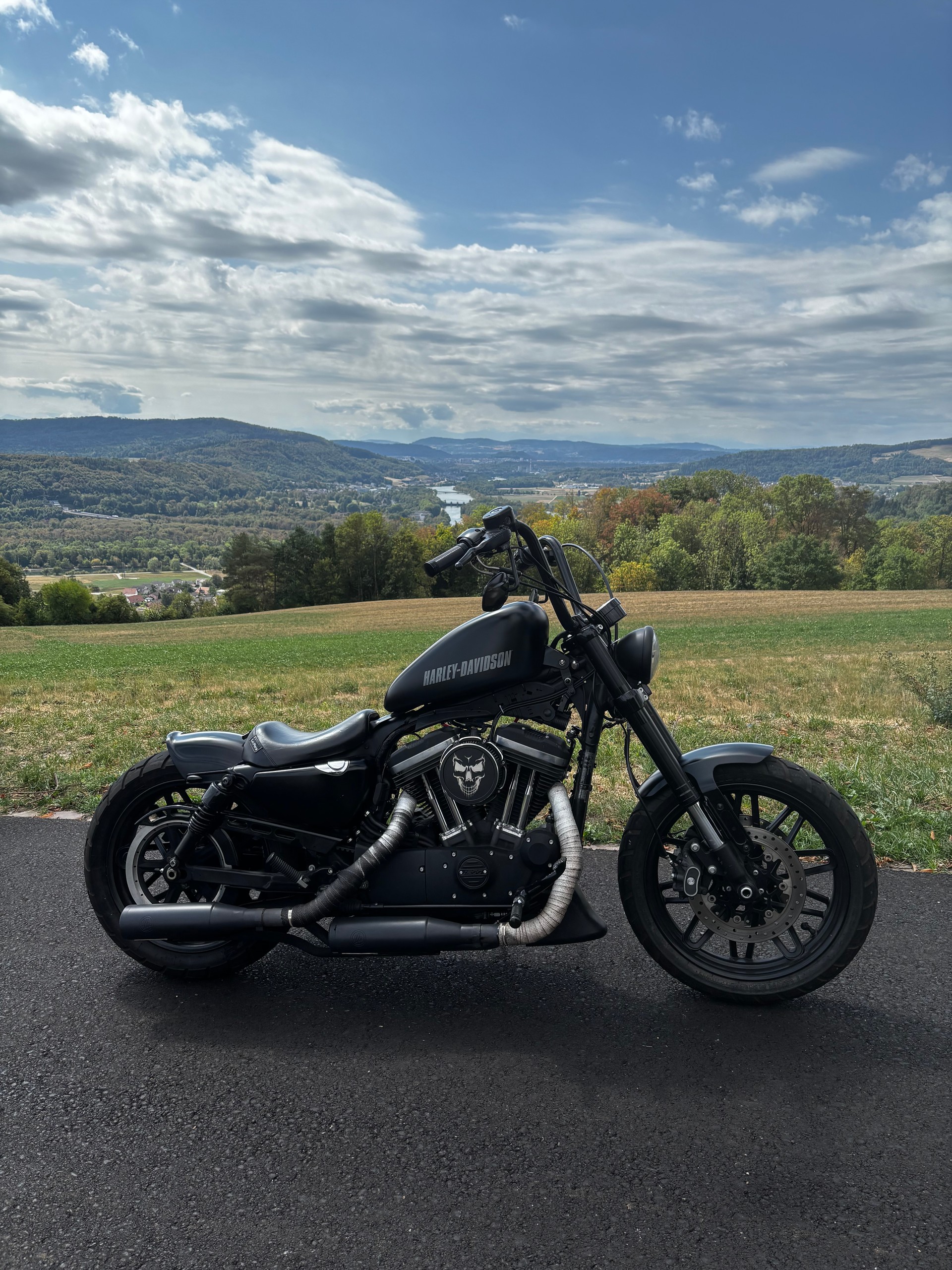 HARLEY-DAVIDSON XL 1200 CX Sportster Roadster ABS-image-0