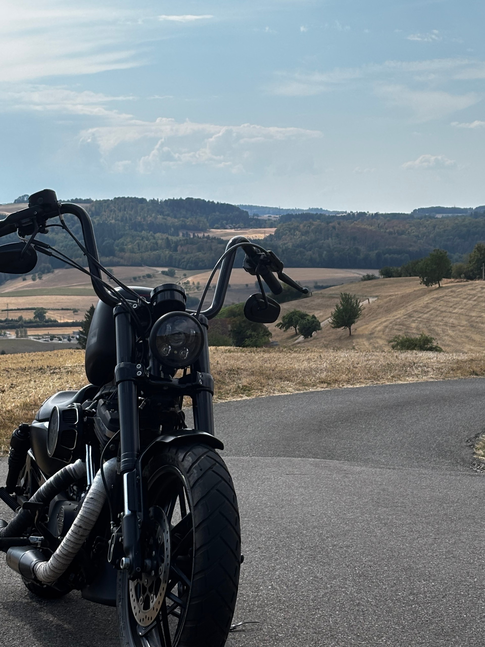 HARLEY-DAVIDSON XL 1200 CX Sportster Roadster ABS-image-4