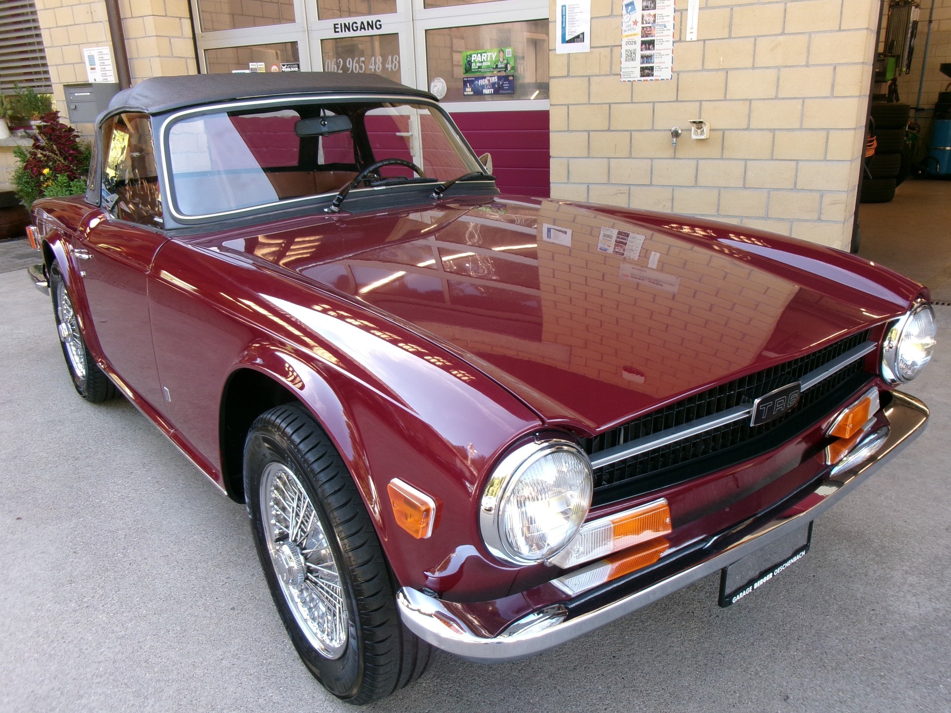 TRIUMPH TR6