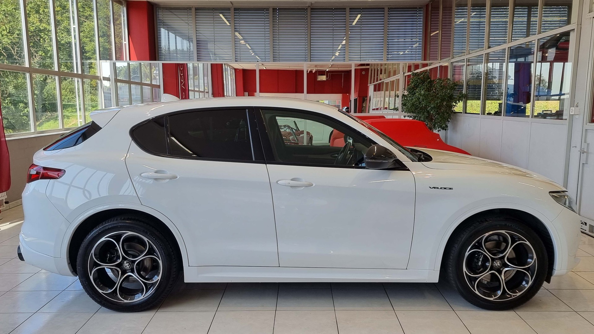 ALFA ROMEO Stelvio 2.0 Q4 280 Veloce-image-5